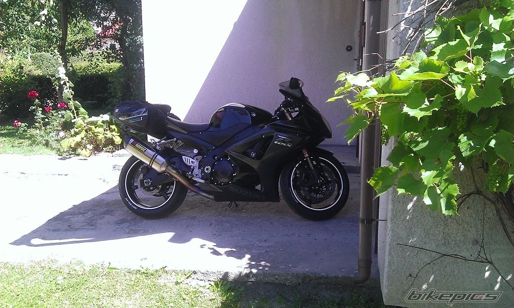 Photo 2594887