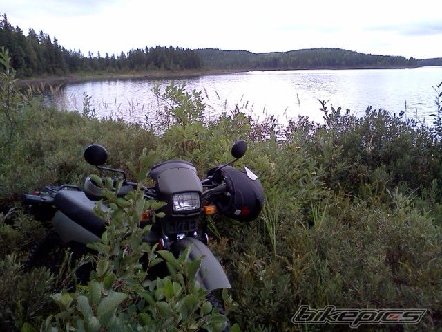 Photo 2594892
