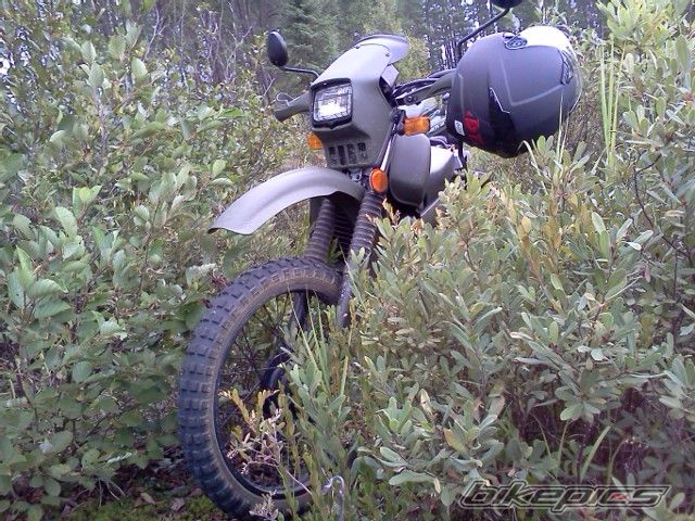 Photo 2594893