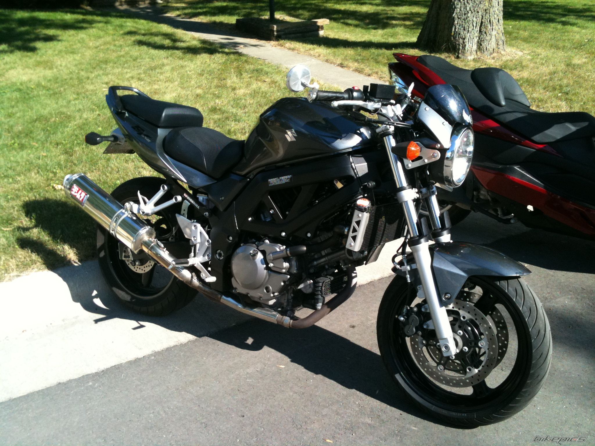 Photo 2595147