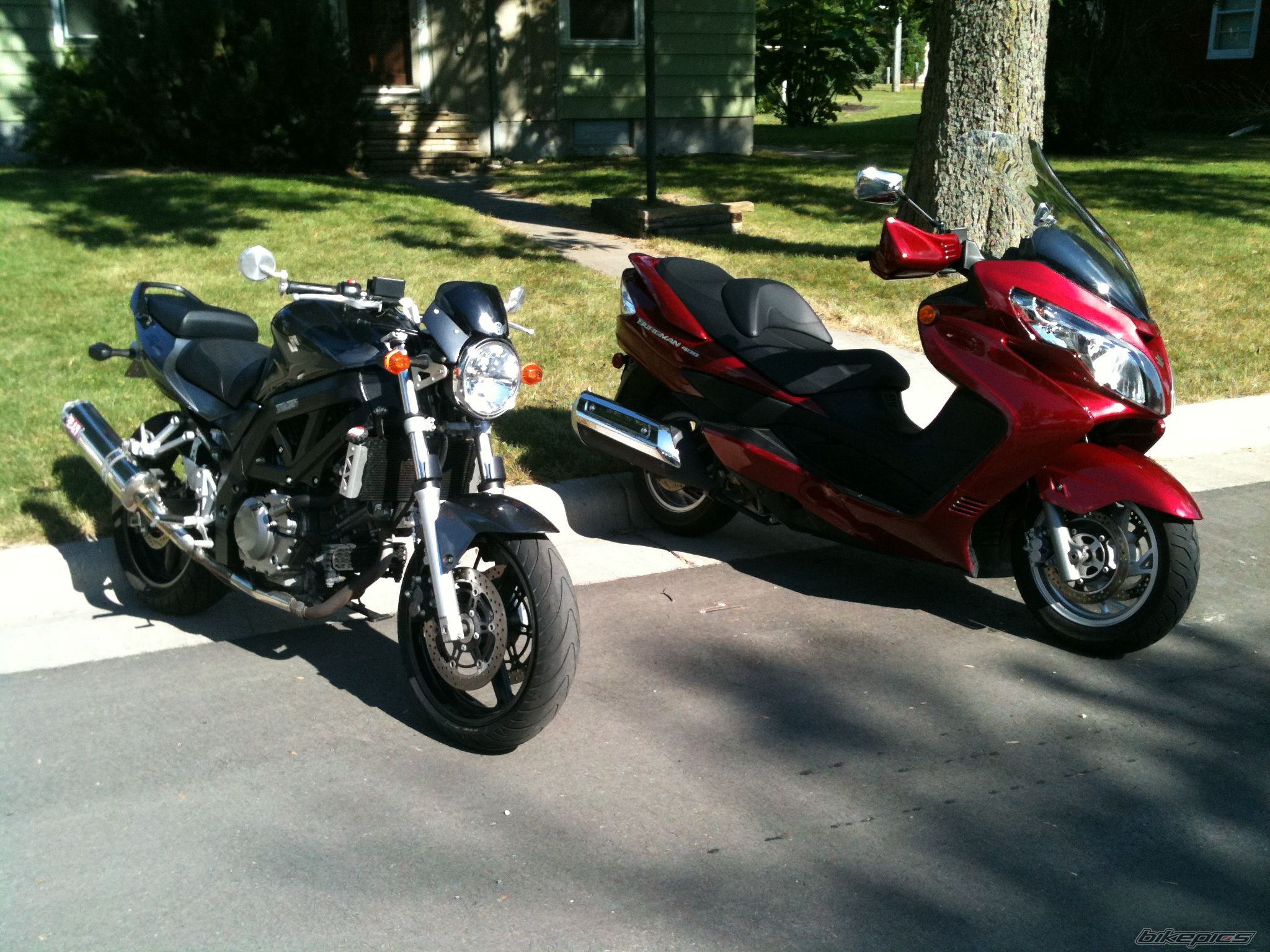 Photo 2595156