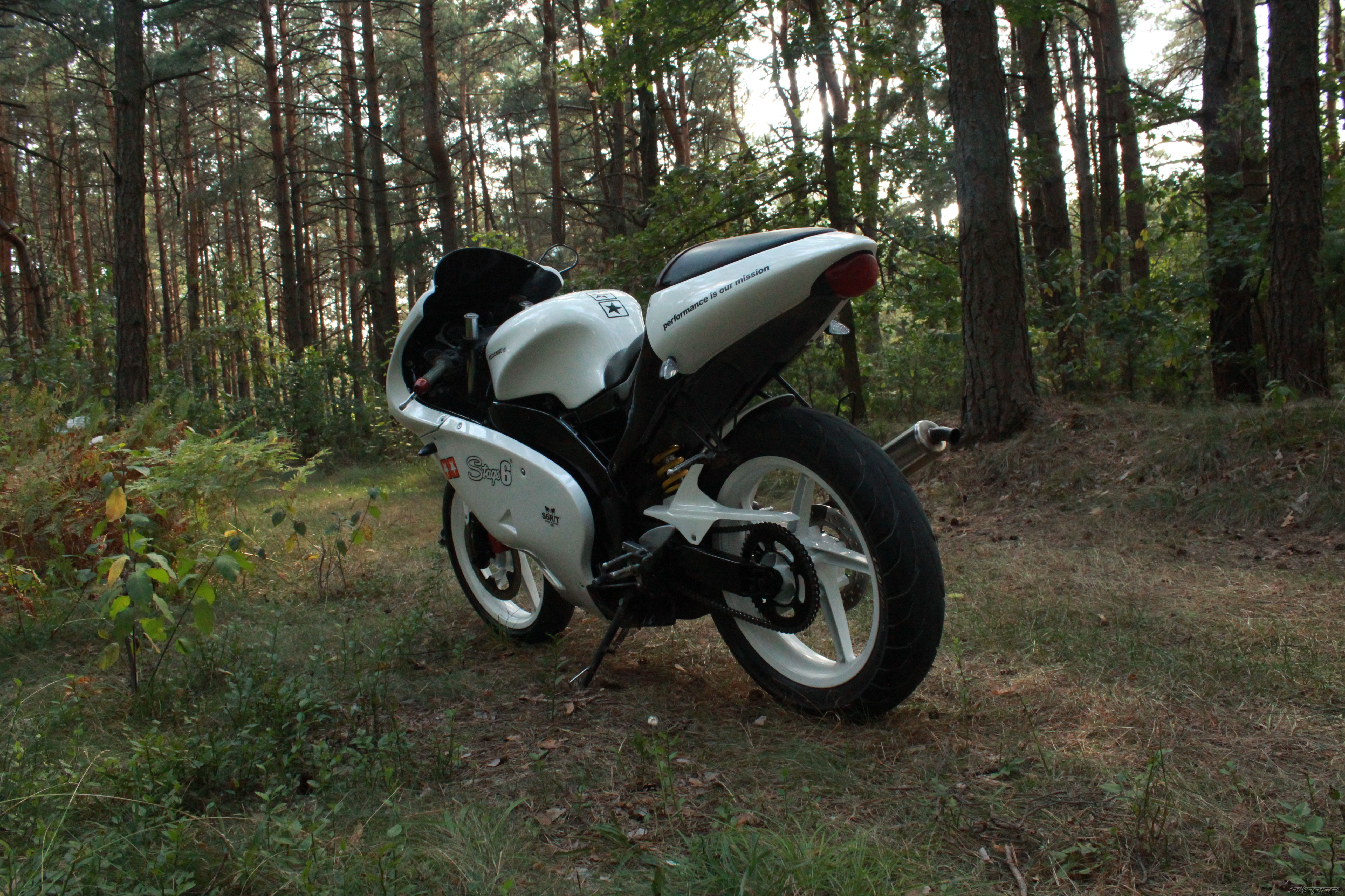 Photo 2595222