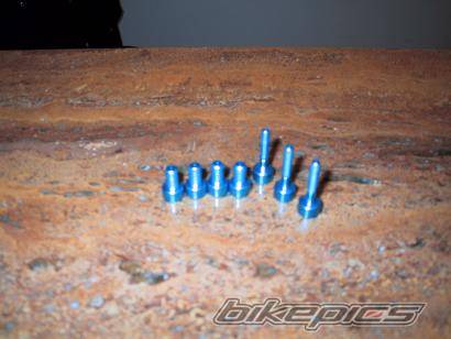 Photo 259529