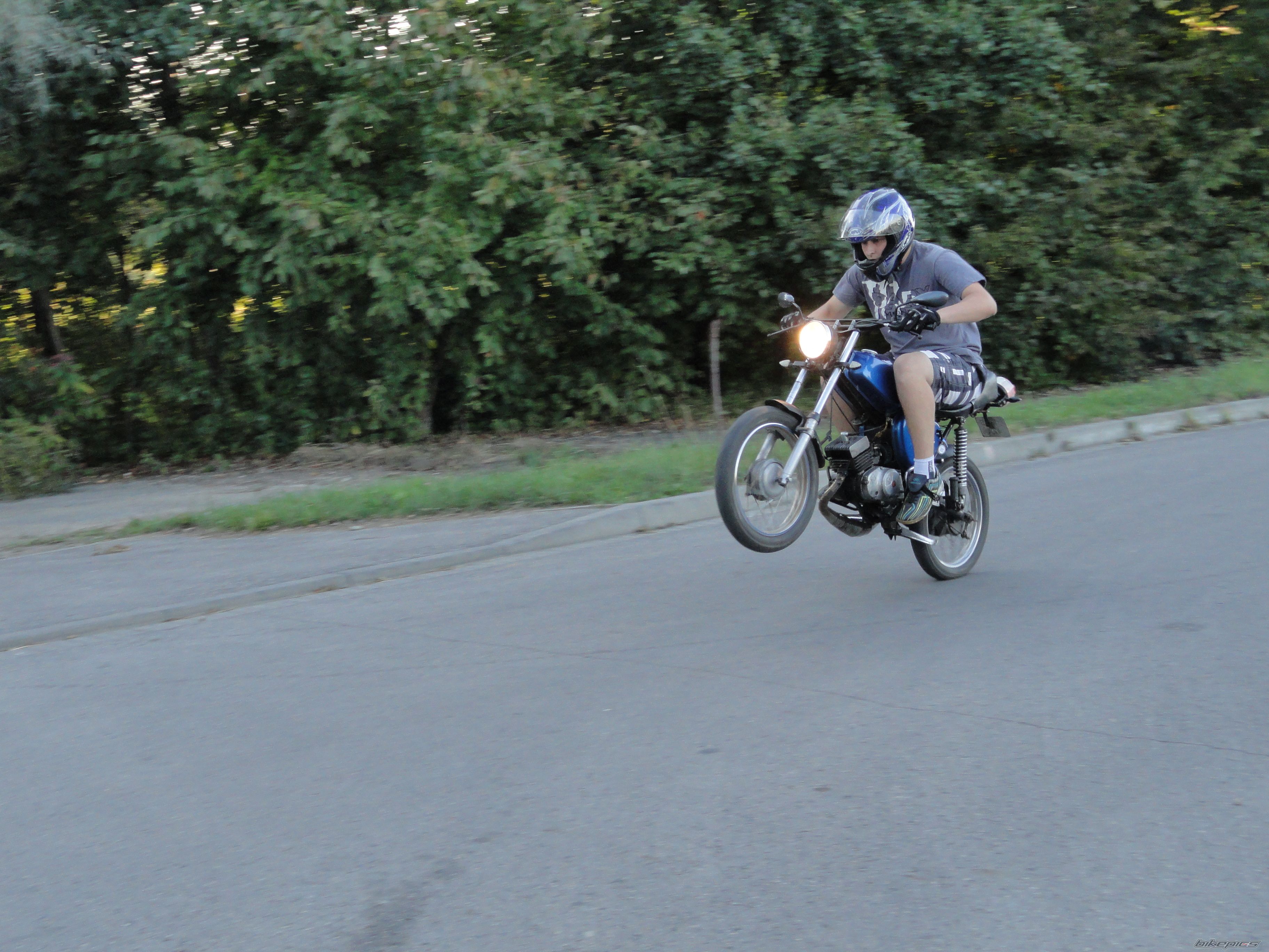 Photo 2595348
