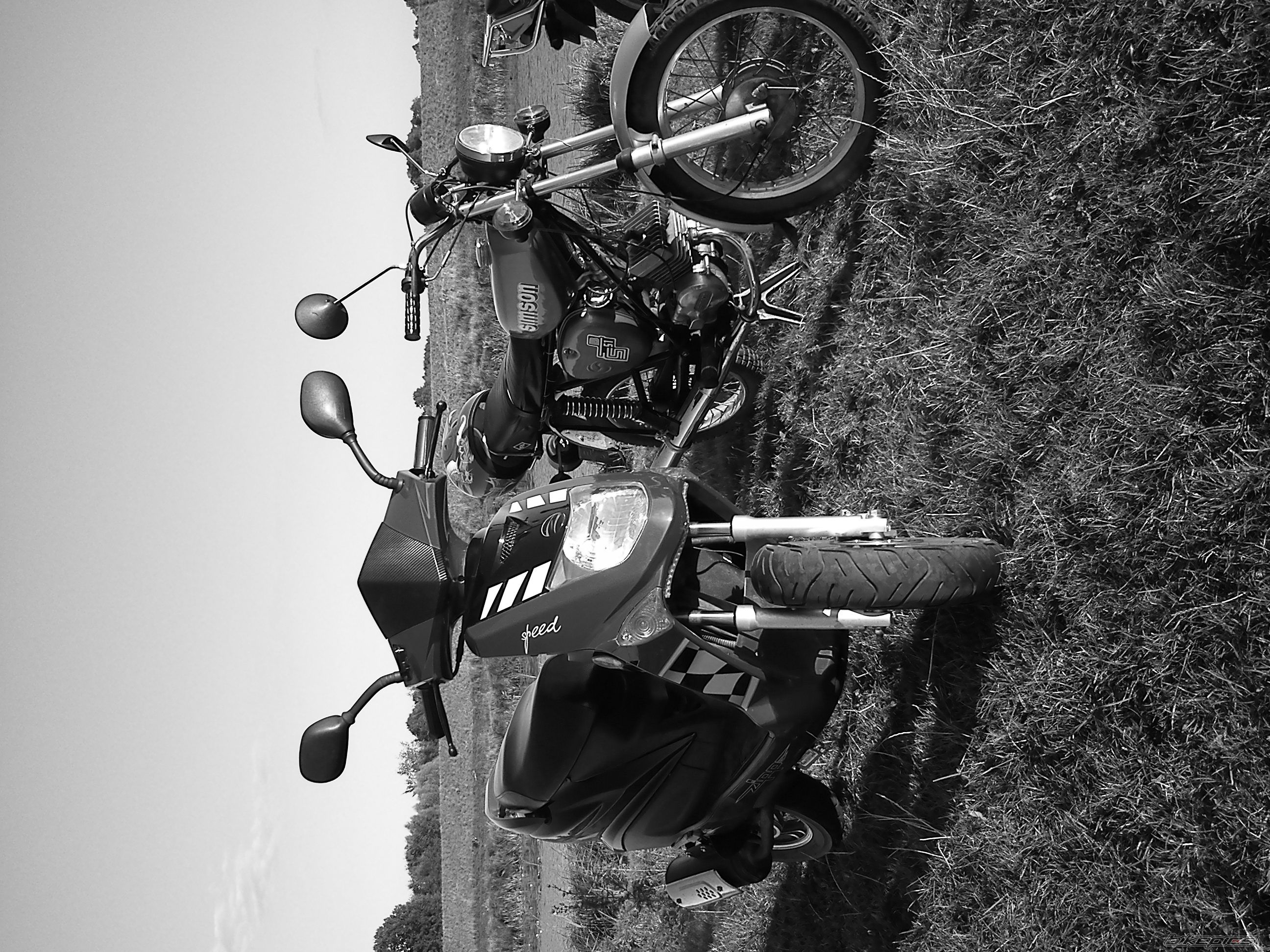 Photo 2595374