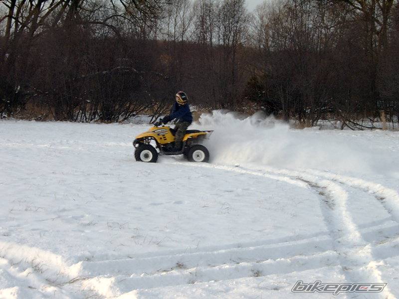 Photo 259538
