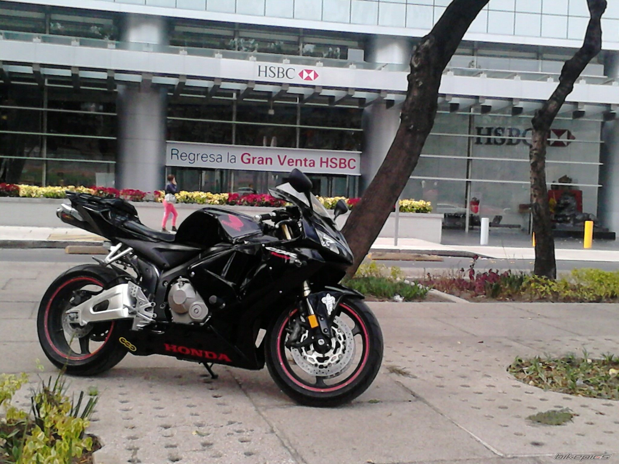 Photo 2595450