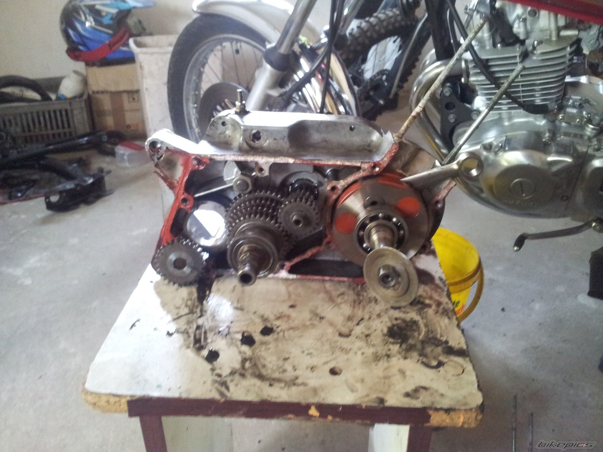 Photo 2595494