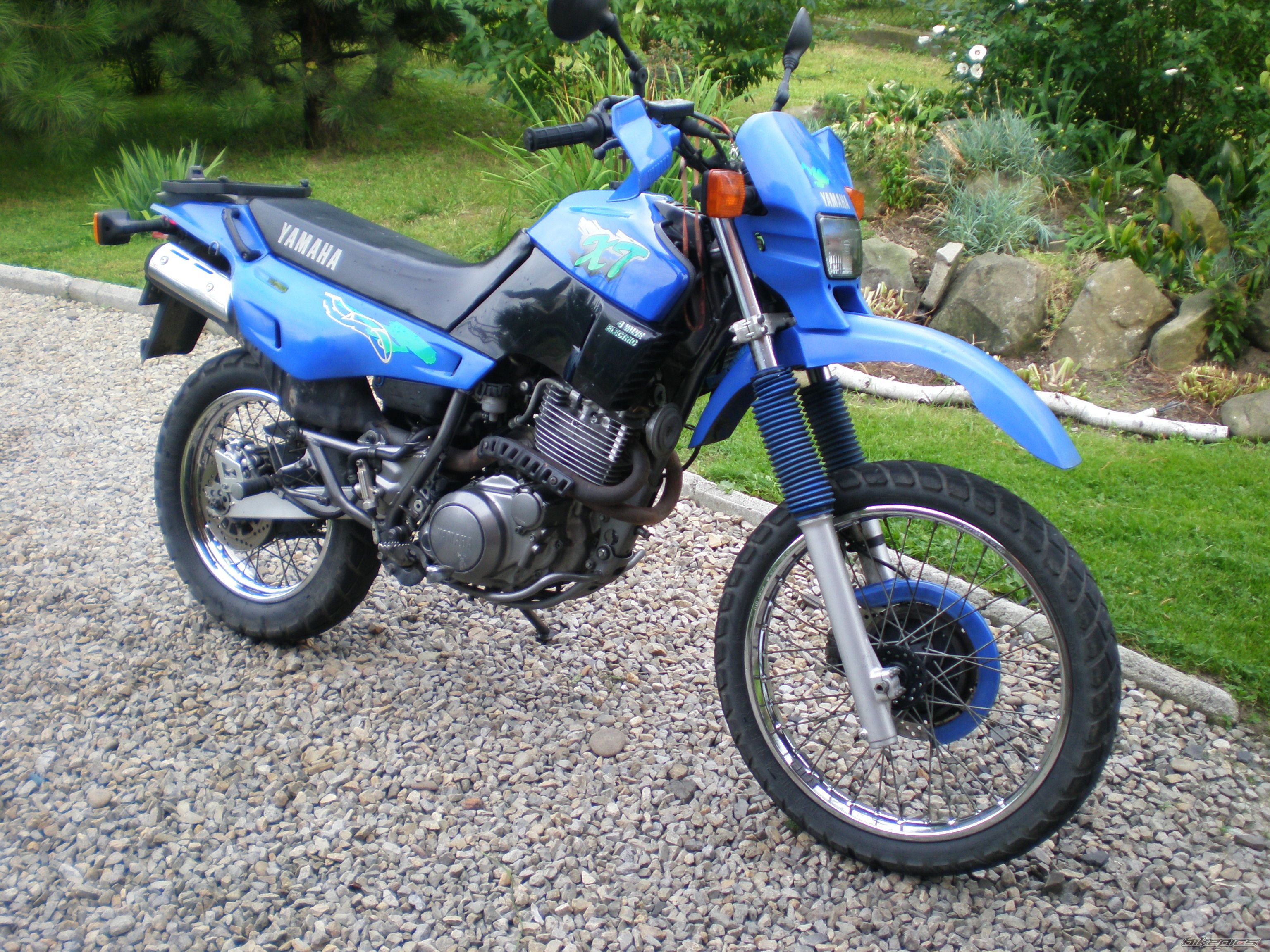 Photo 2595571
