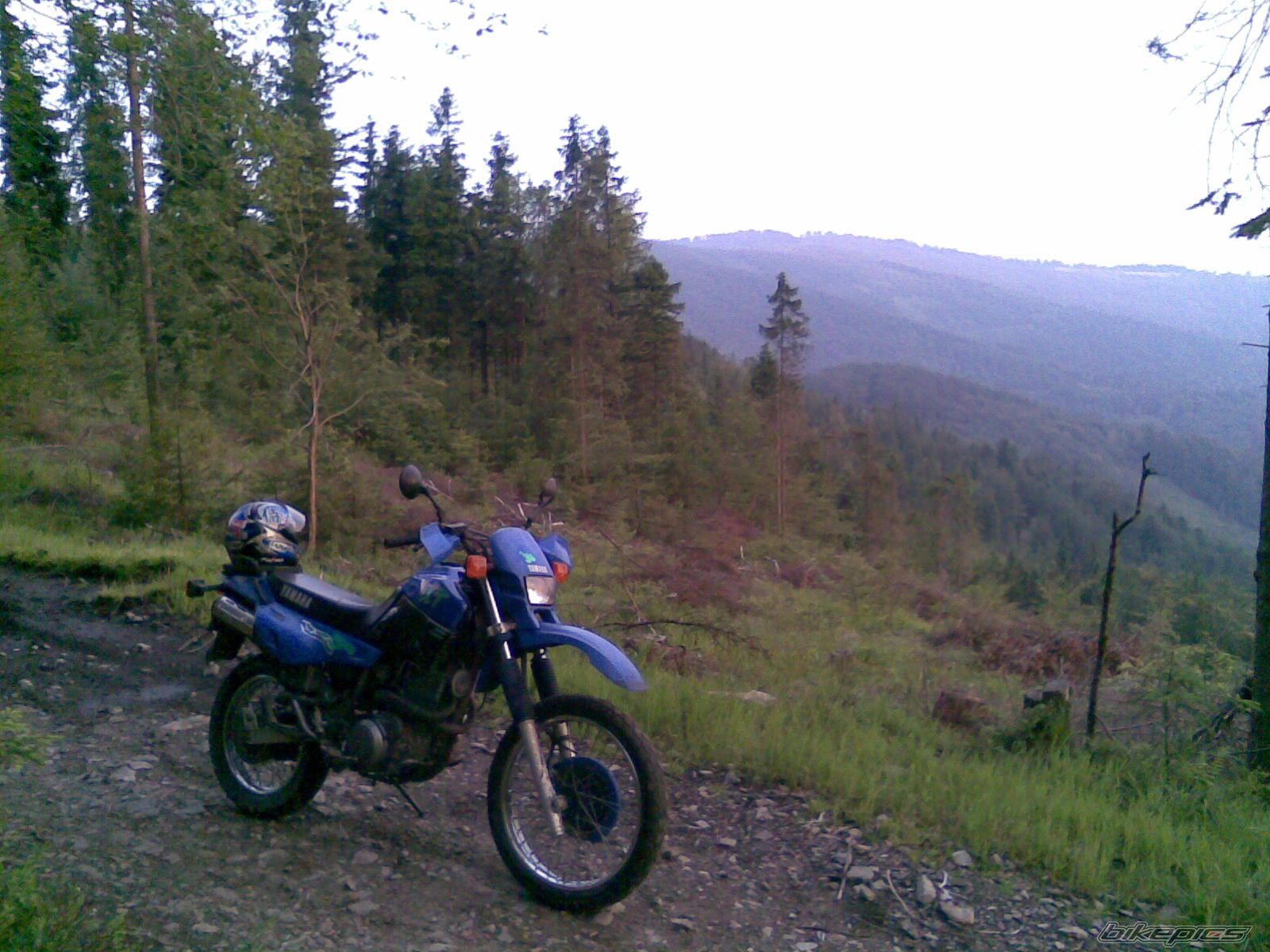 Photo 2595573