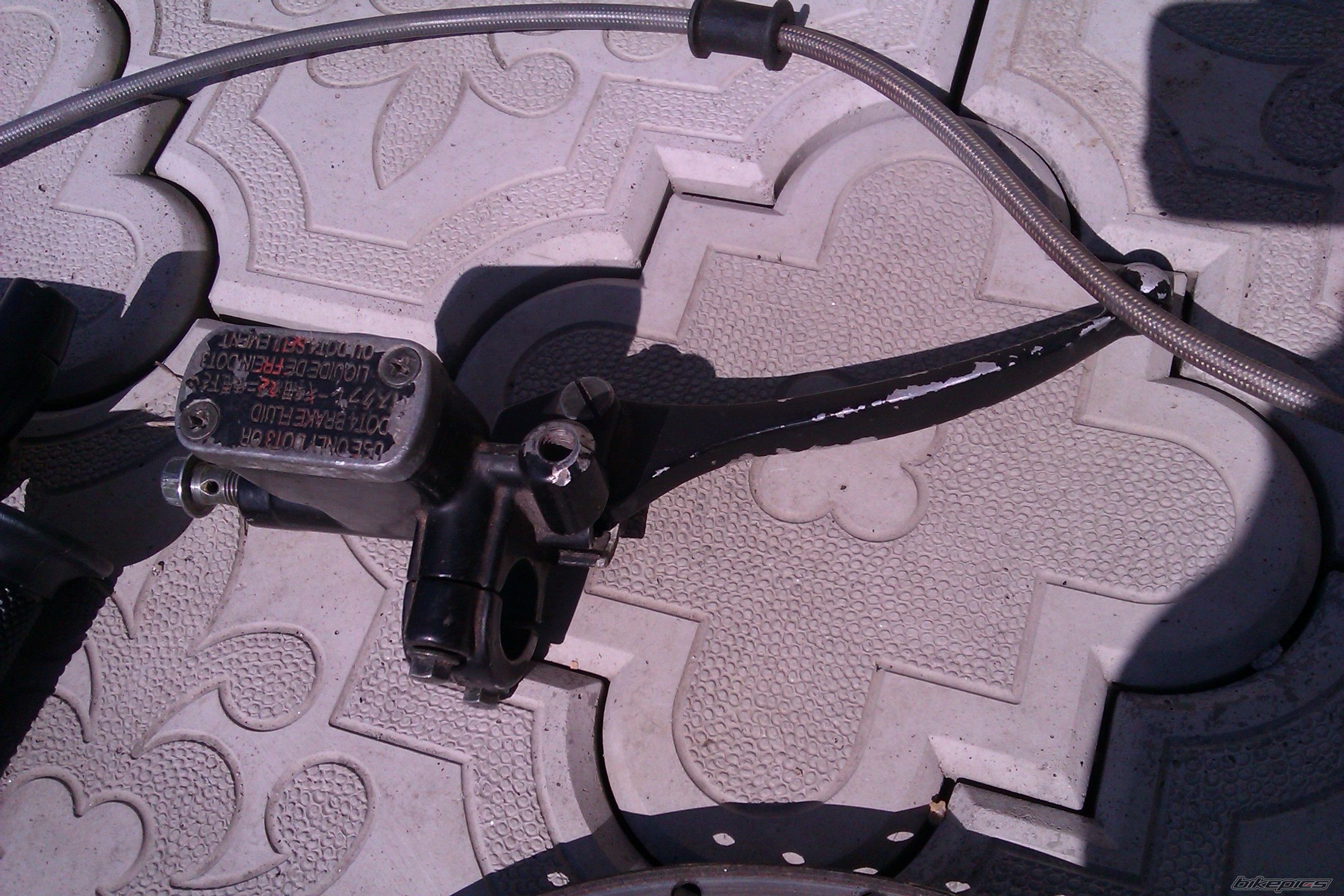 Photo 2595688