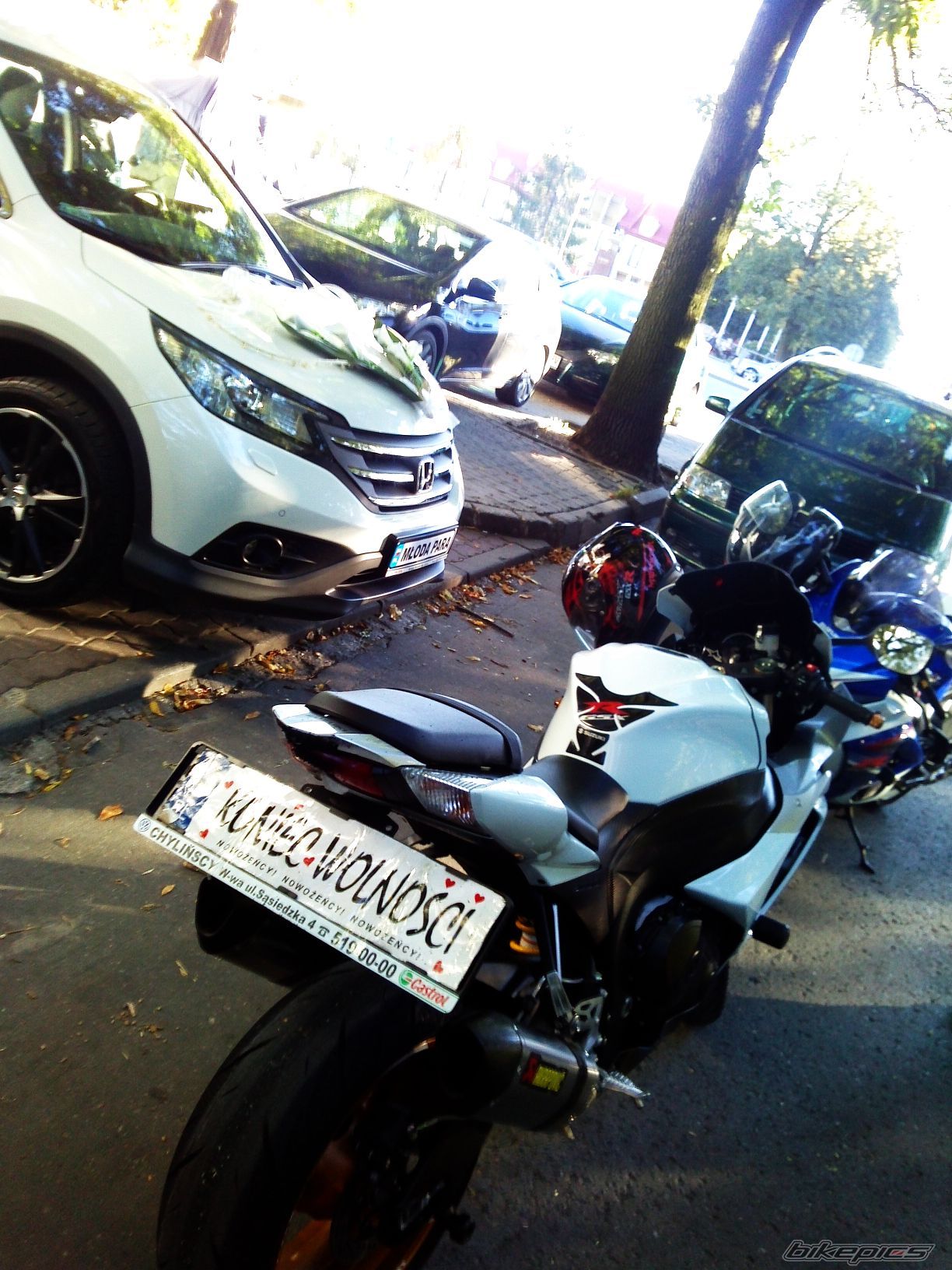 Photo 2595779