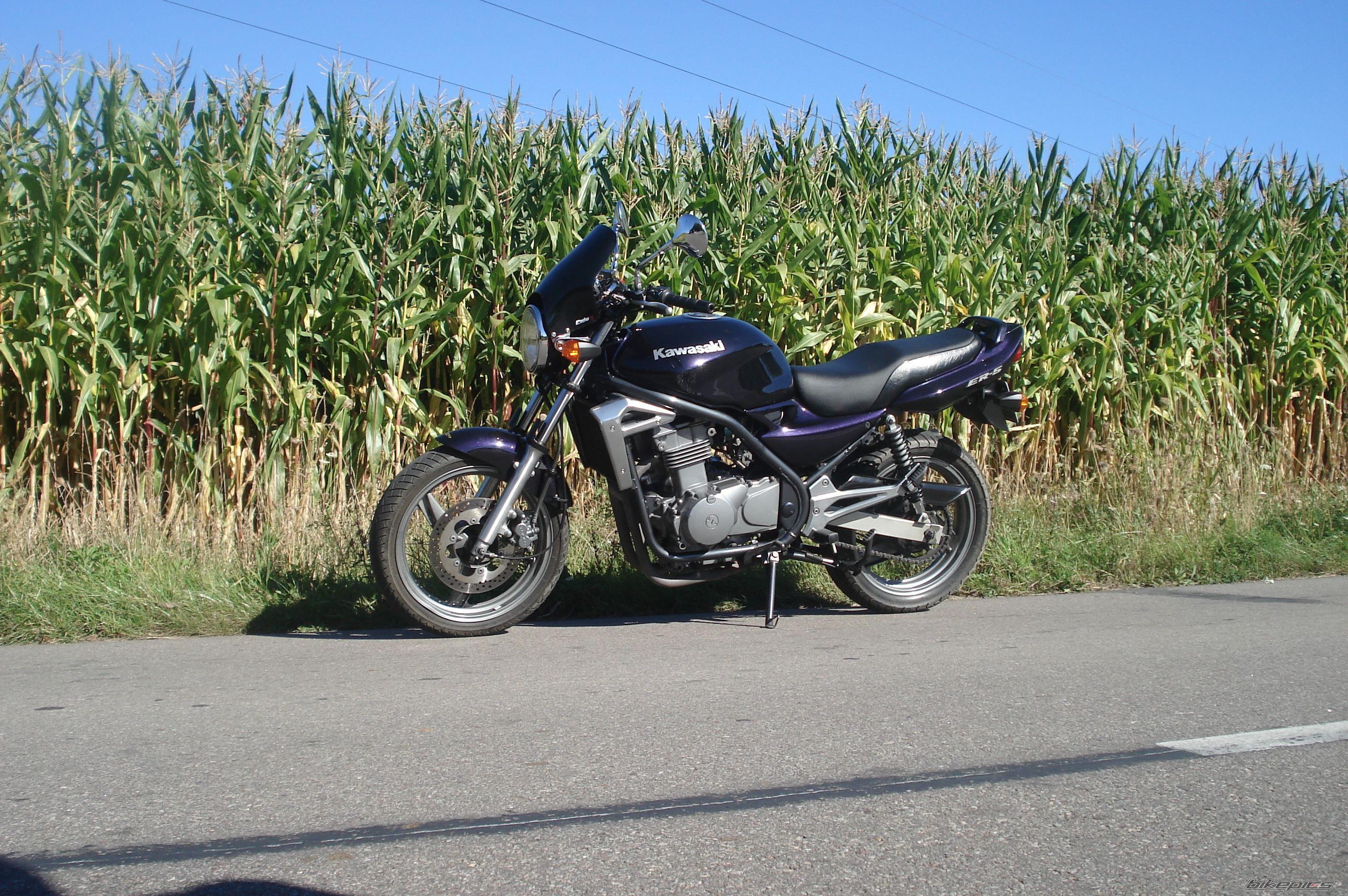 Photo 2595820