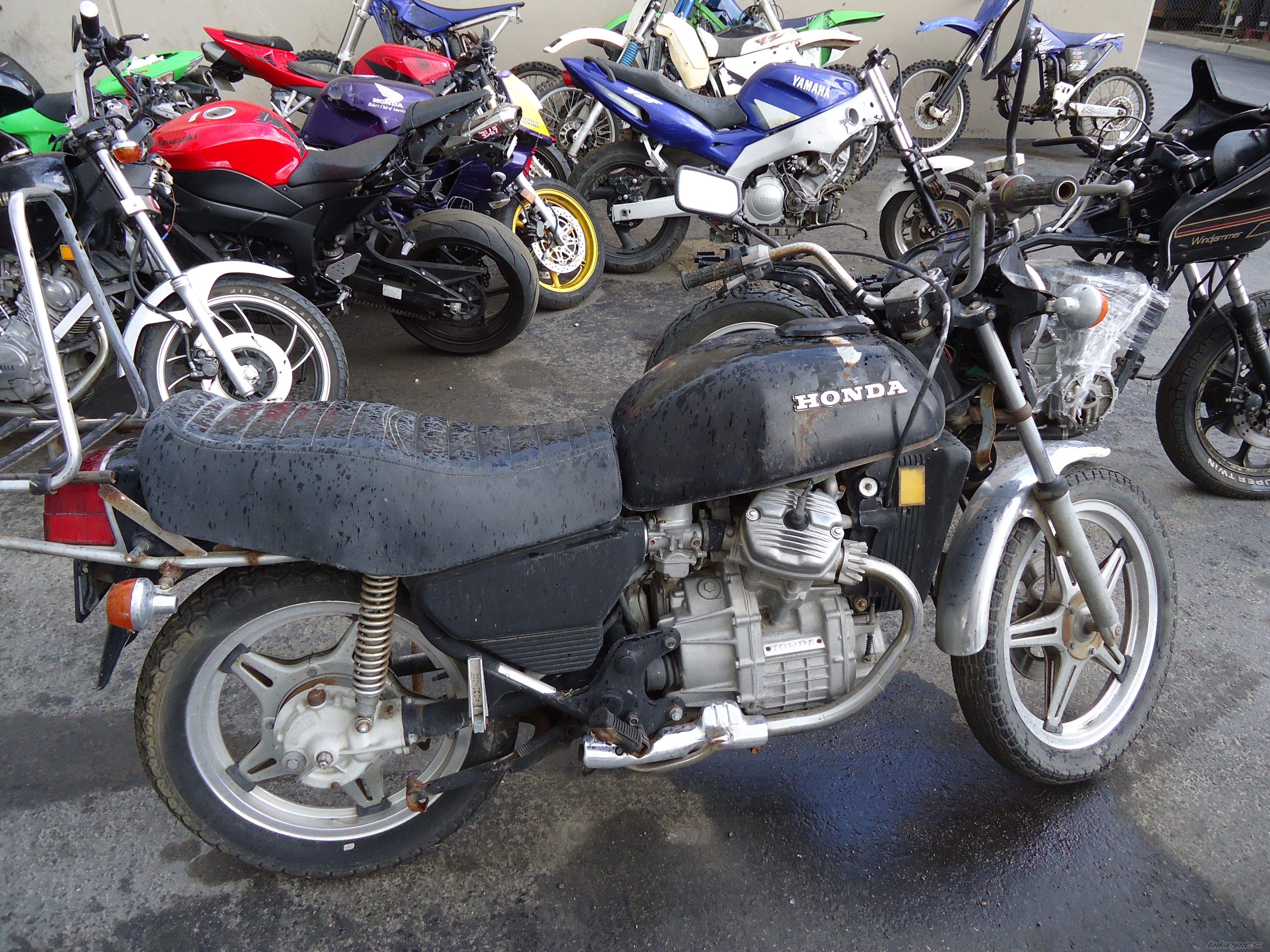 Photo 2595855