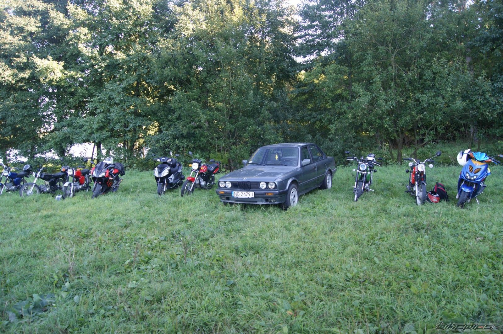 Photo 2595918