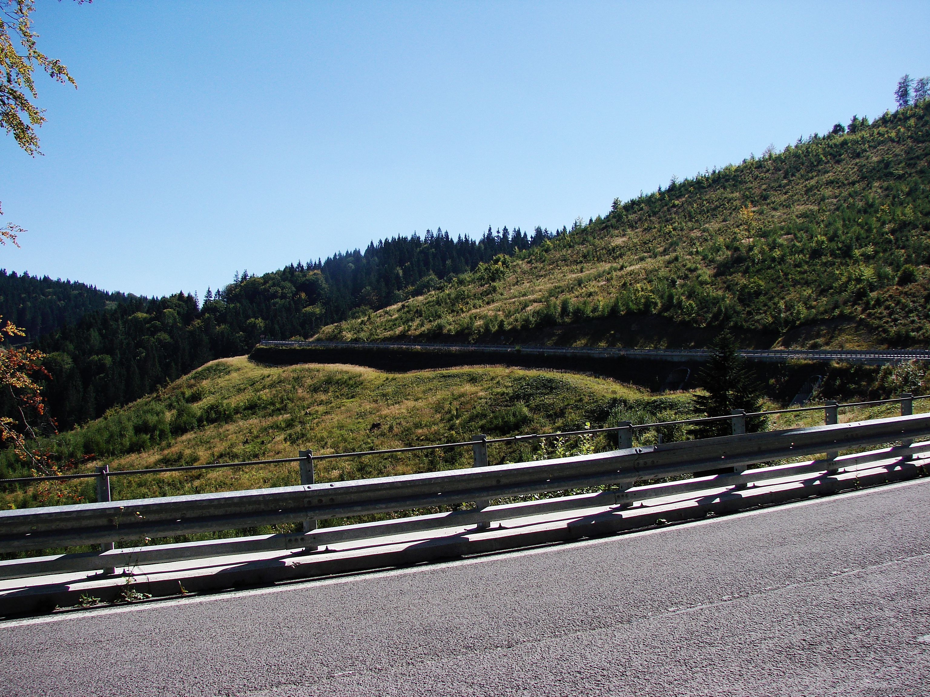 Photo 2595941