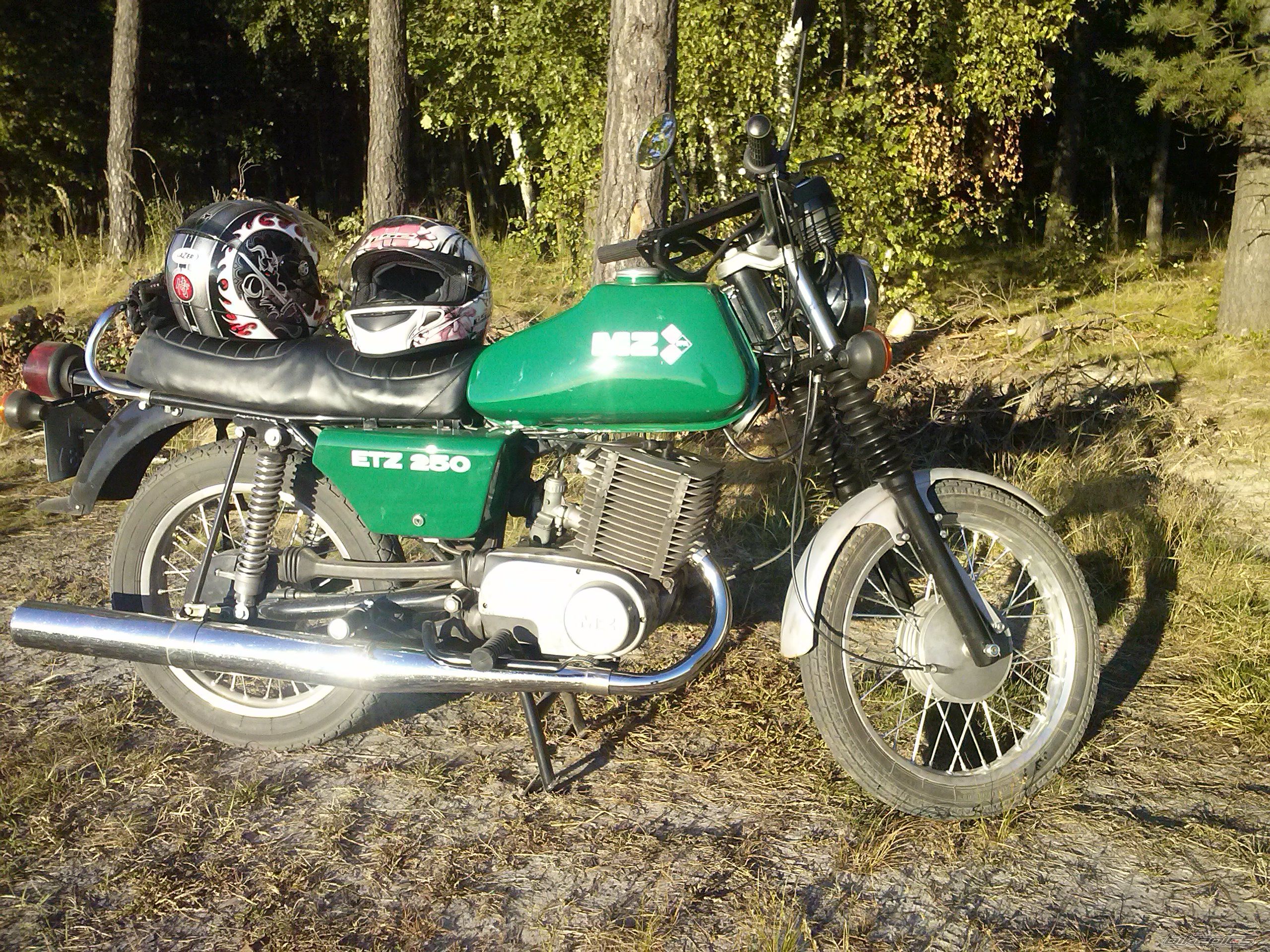 Photo 2595949