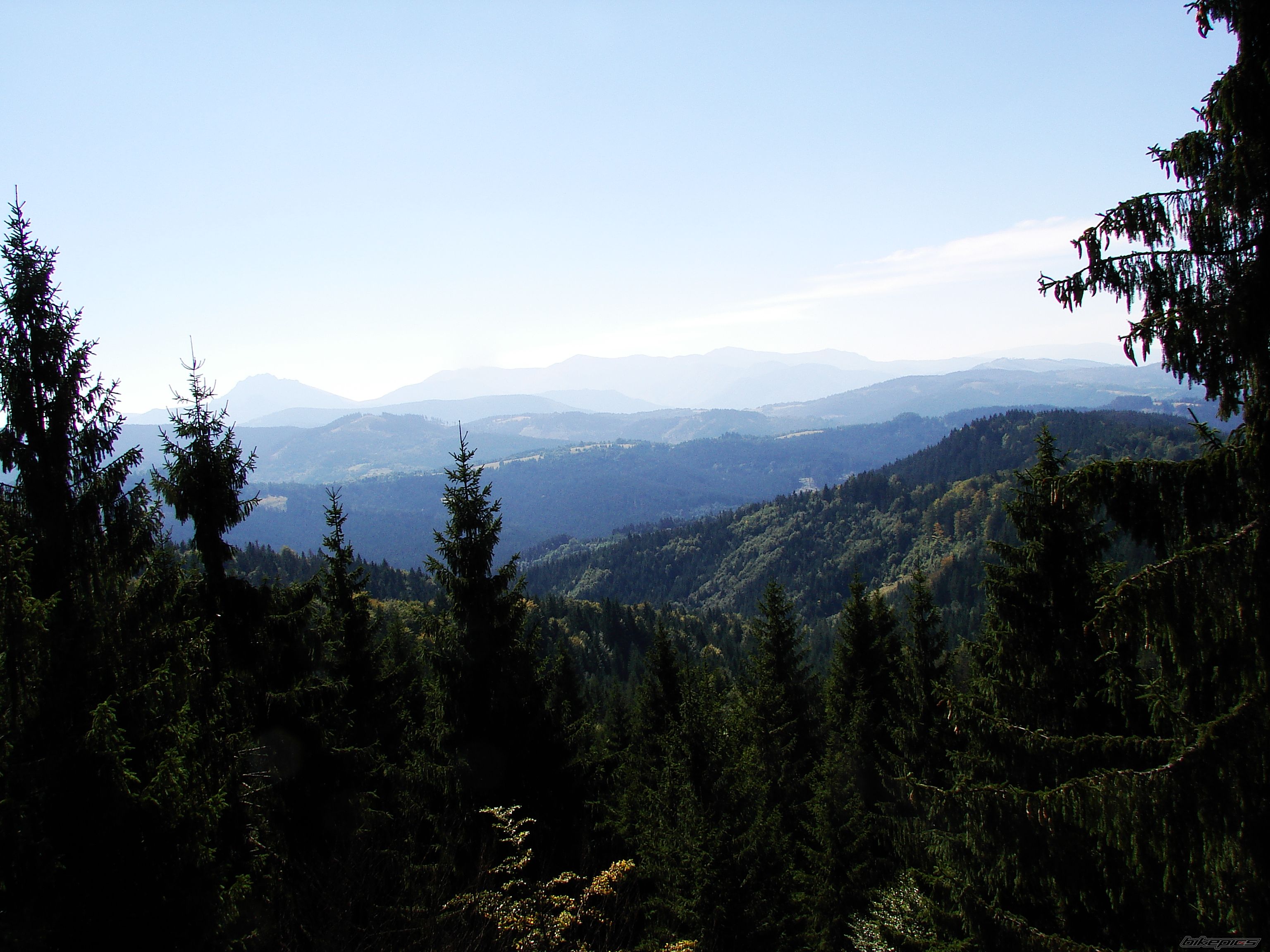 Photo 2595952