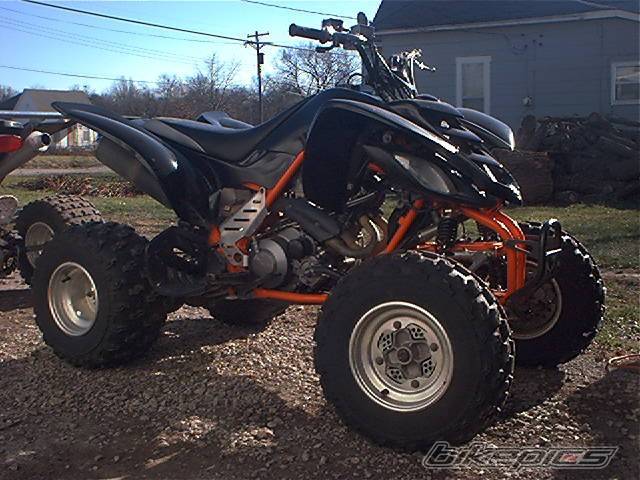 Photo 259597