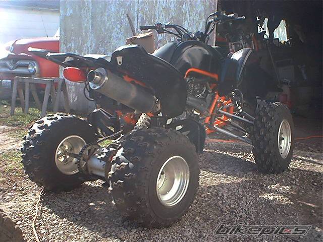 Photo 259599