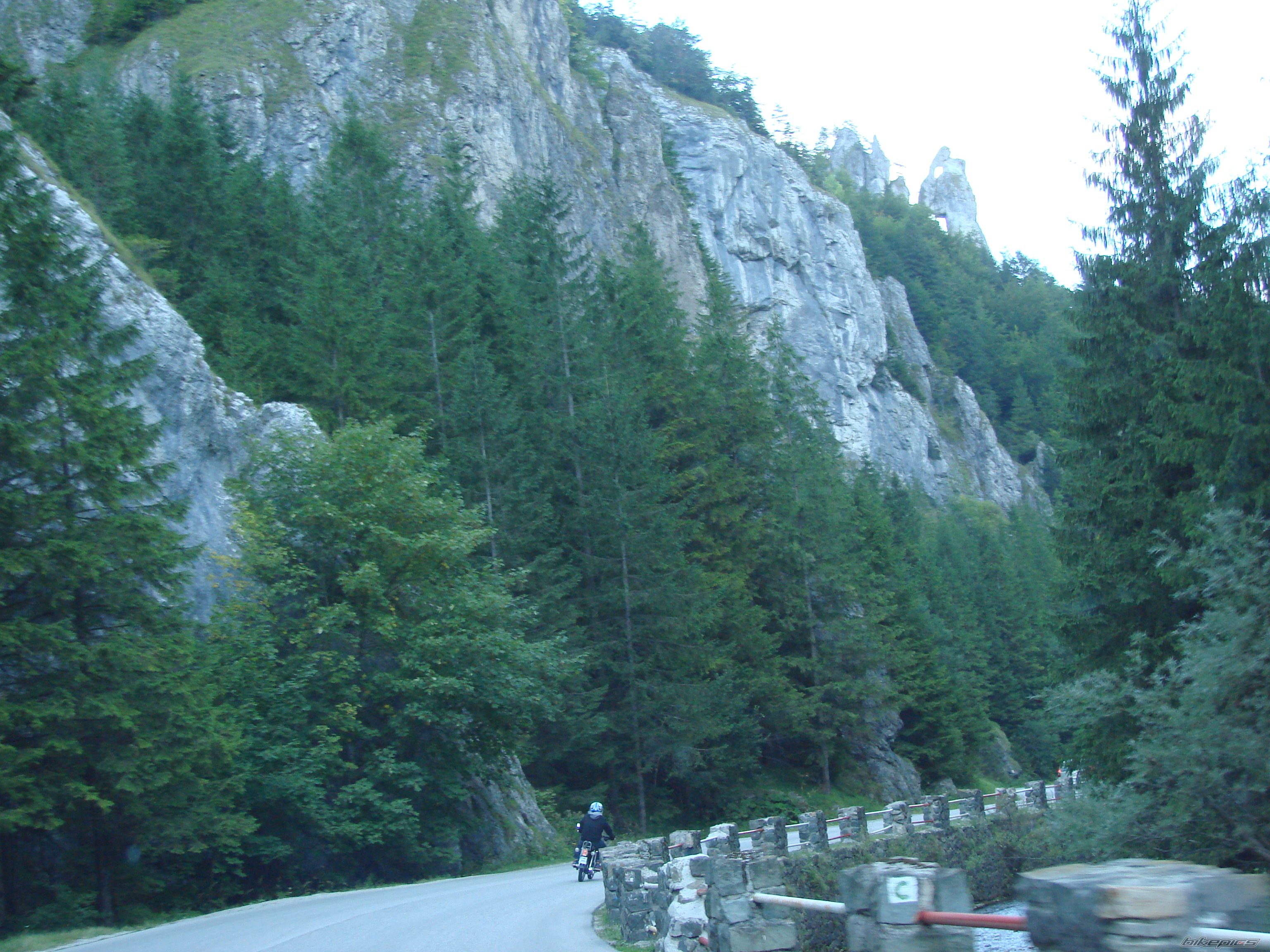 Photo 2596011