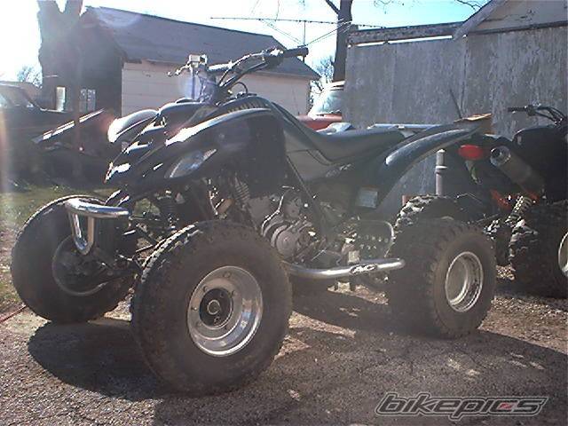 Photo 259604