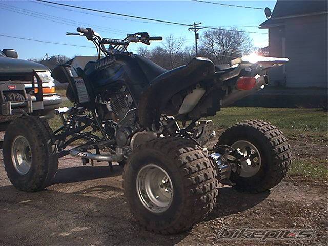 Photo 259605