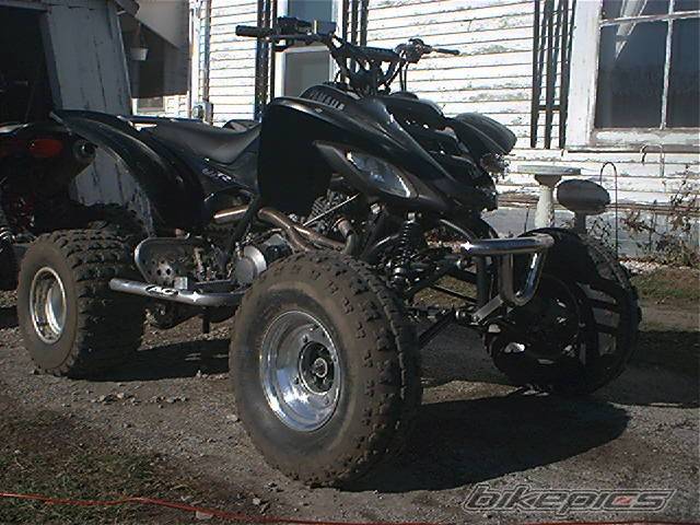 Photo 259606