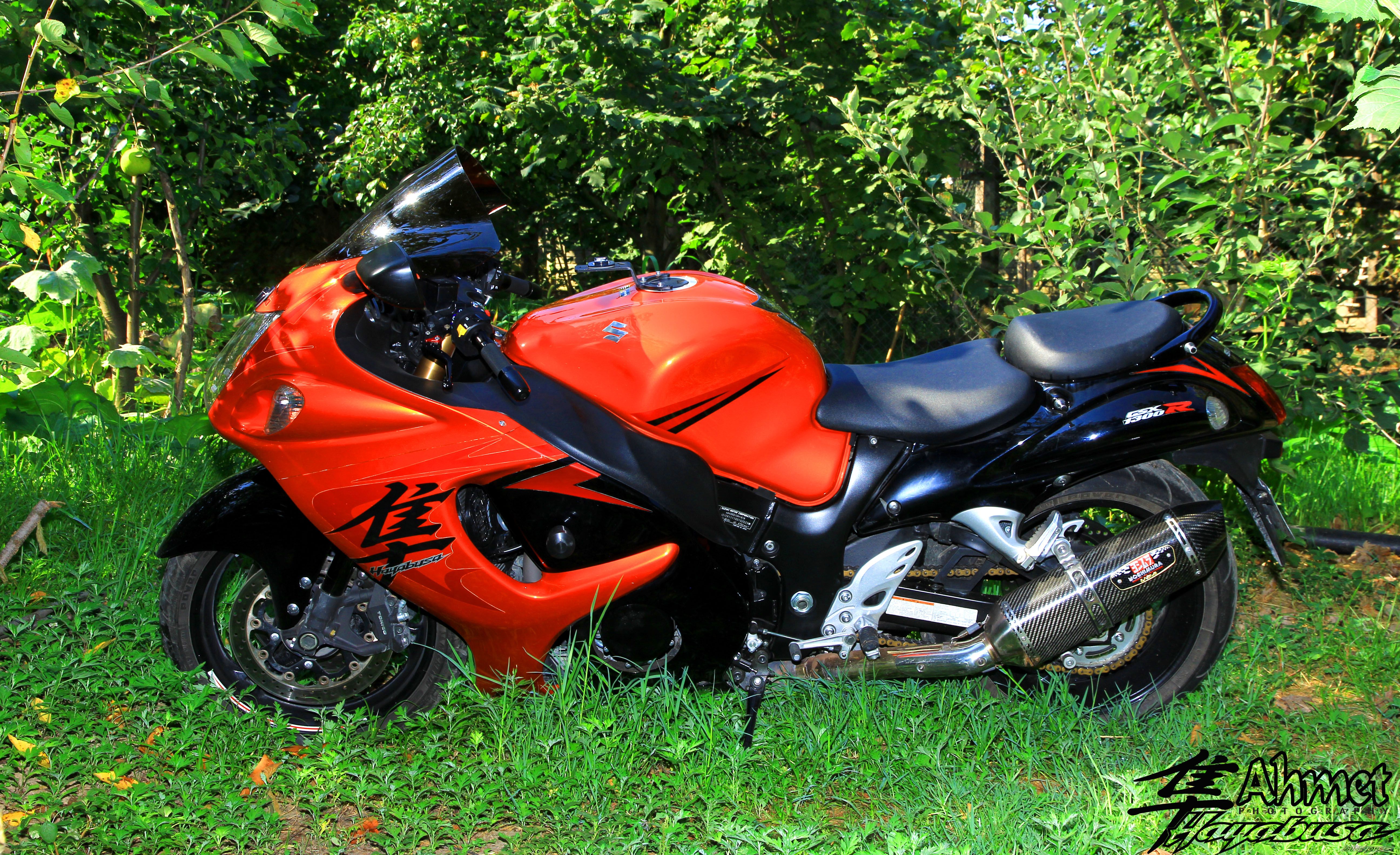 Photo 2596079