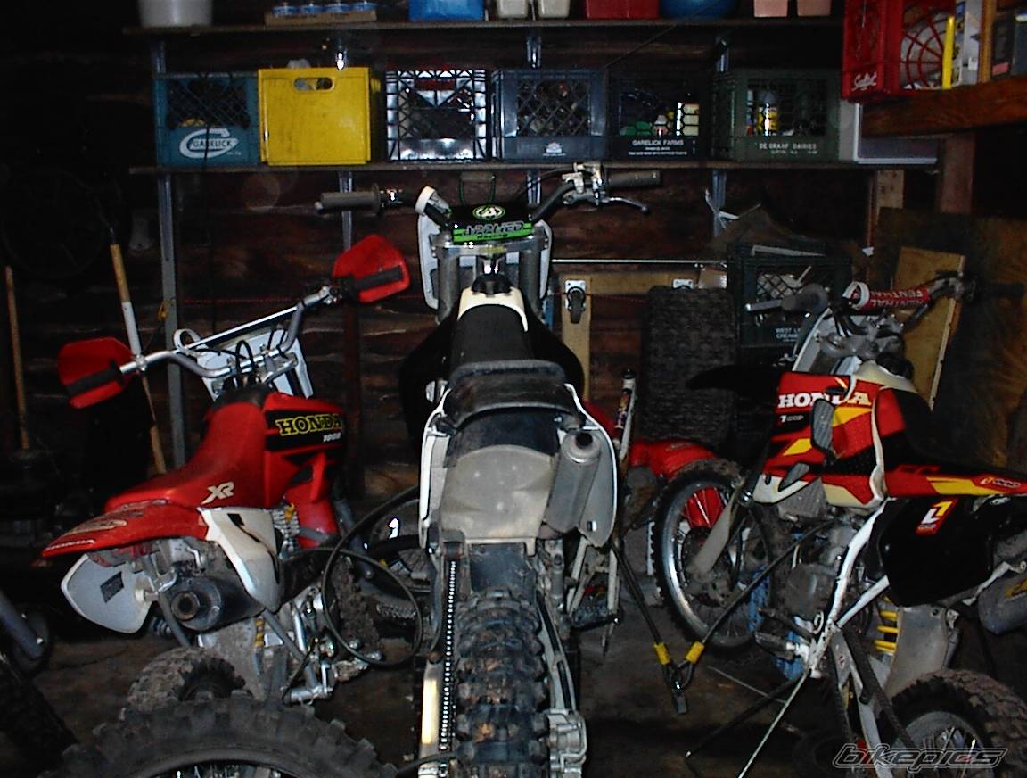 Photo 259609
