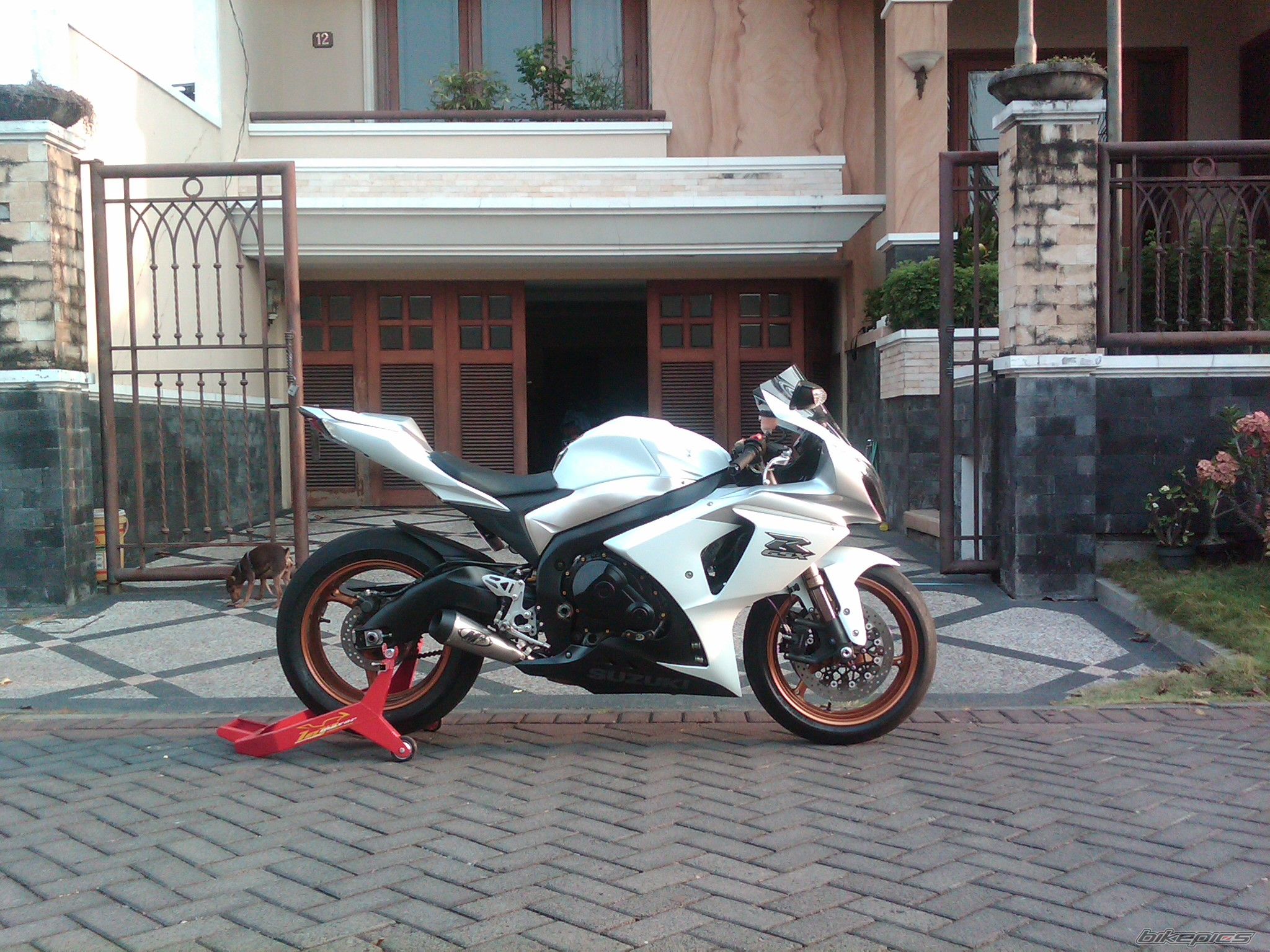 Photo 2596117
