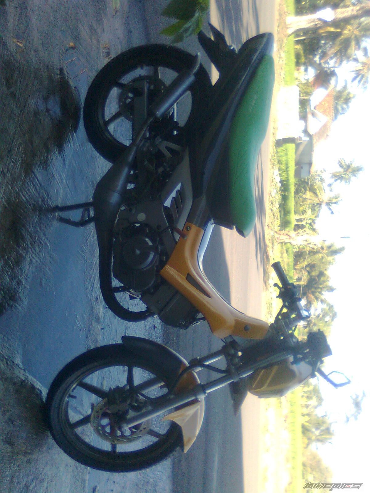 Photo 2596147