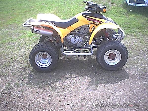 Photo 259624