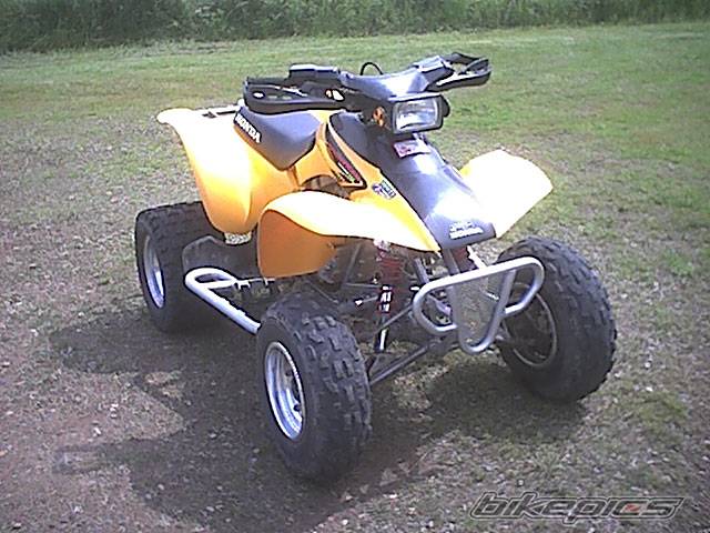 Photo 259625
