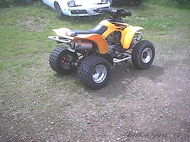 Photo 259626