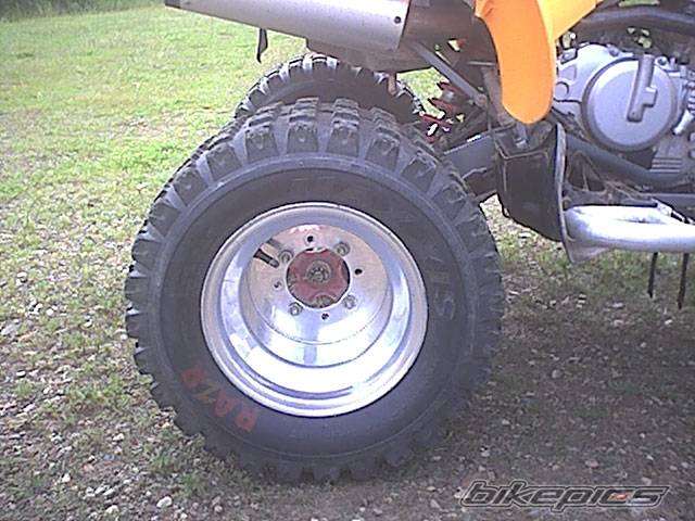 Photo 259627