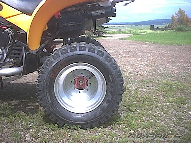 Photo 259628