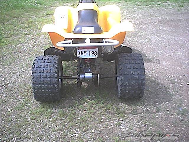 Photo 259629