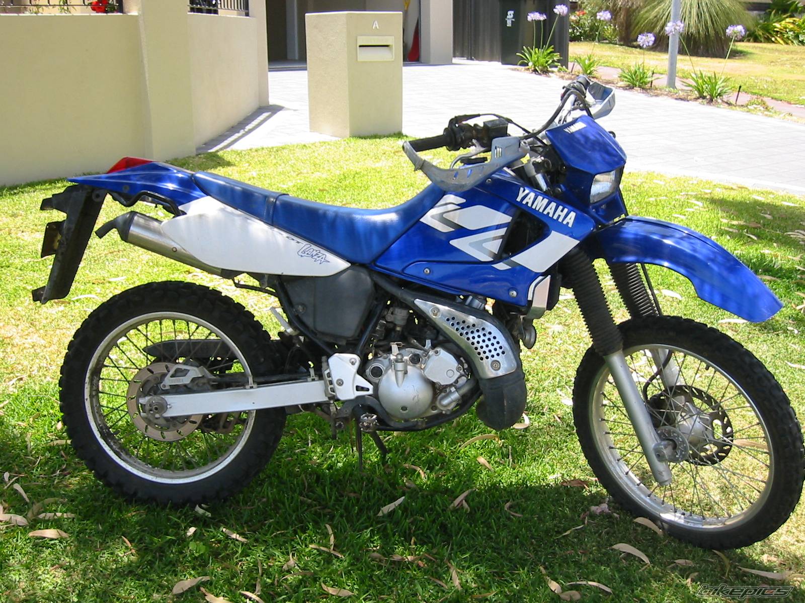 Photo 259631