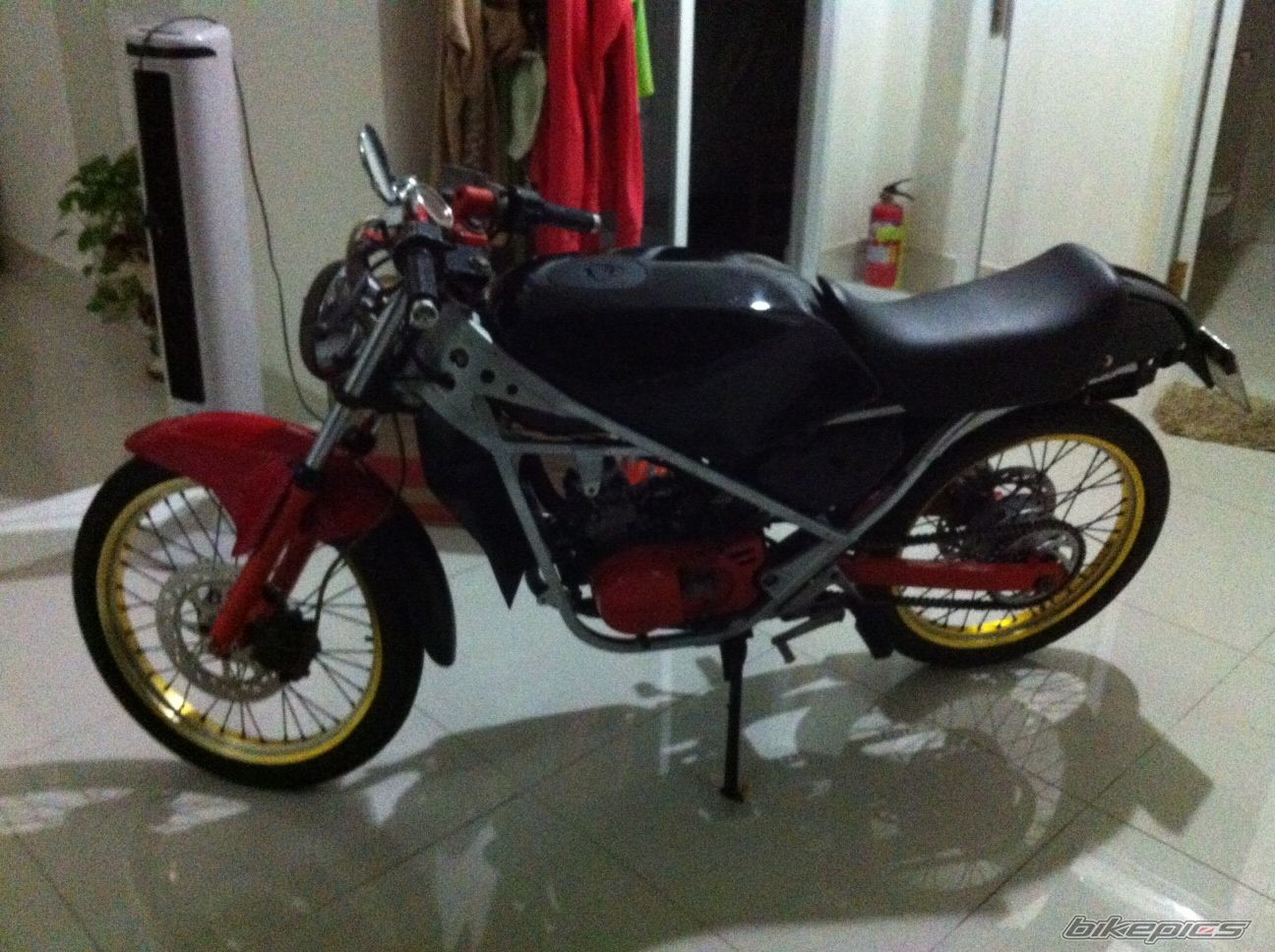 RG 50