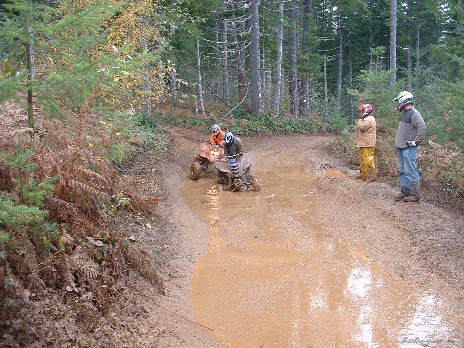 Bike Photo 259646