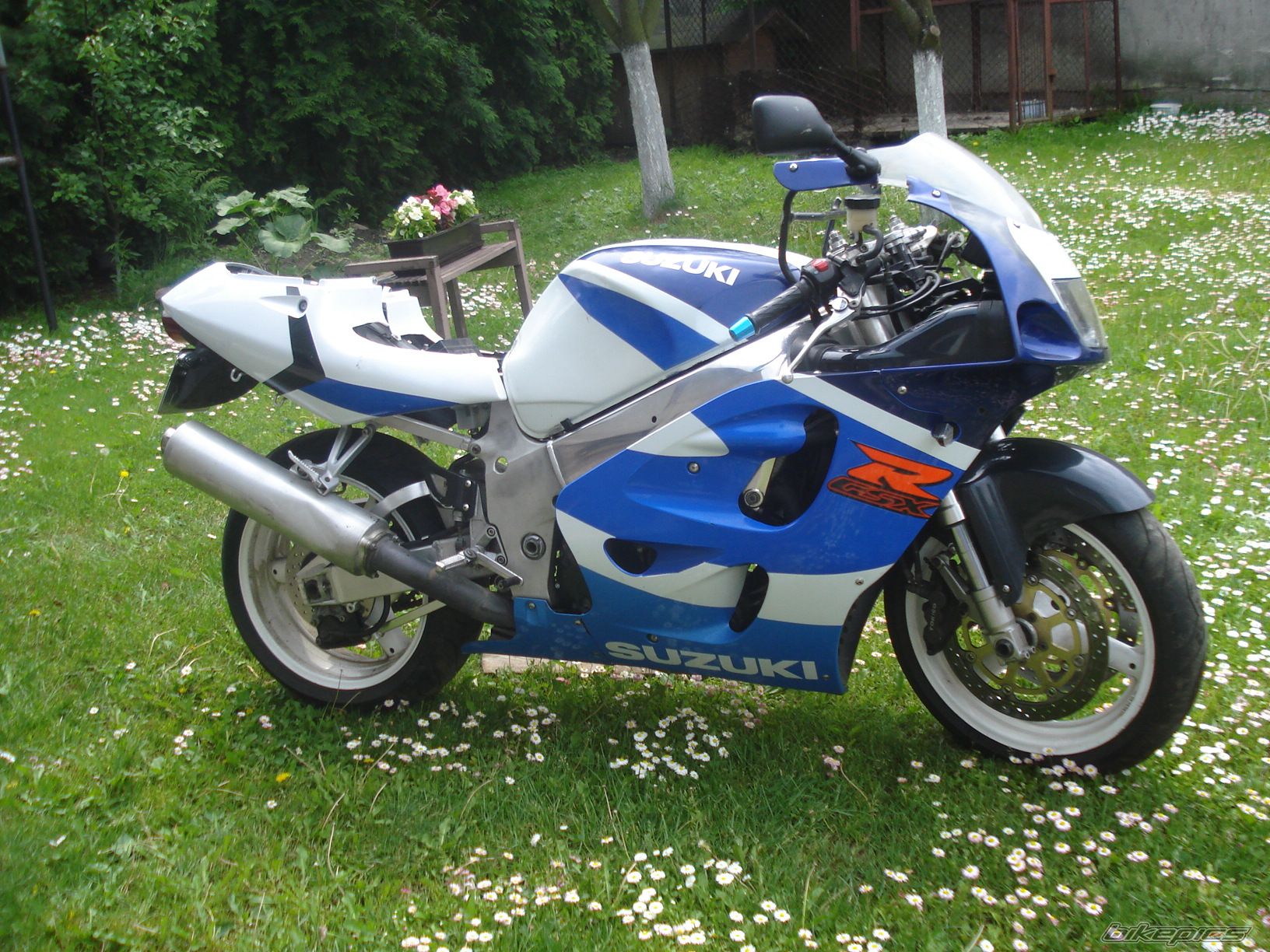 Photo 2596461
