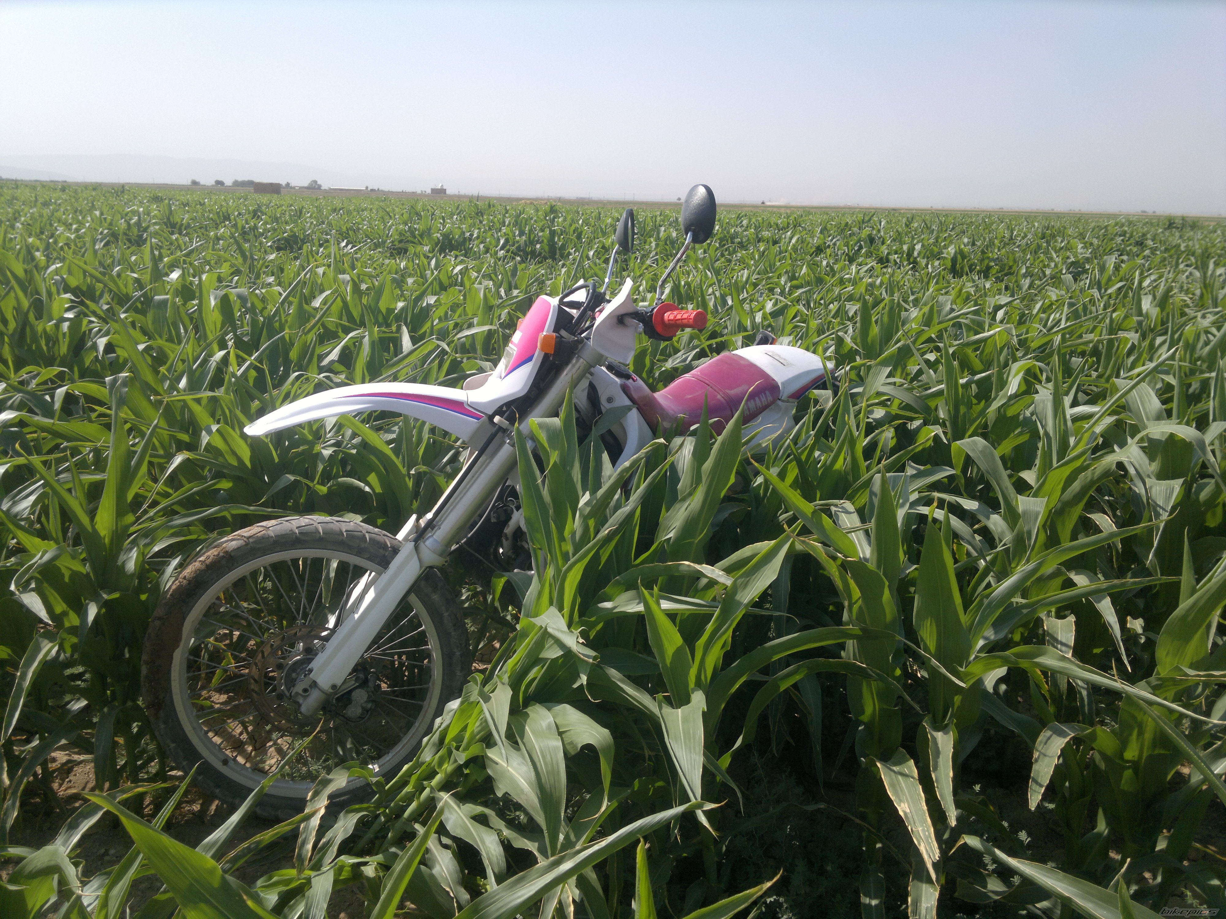 Photo 2596483