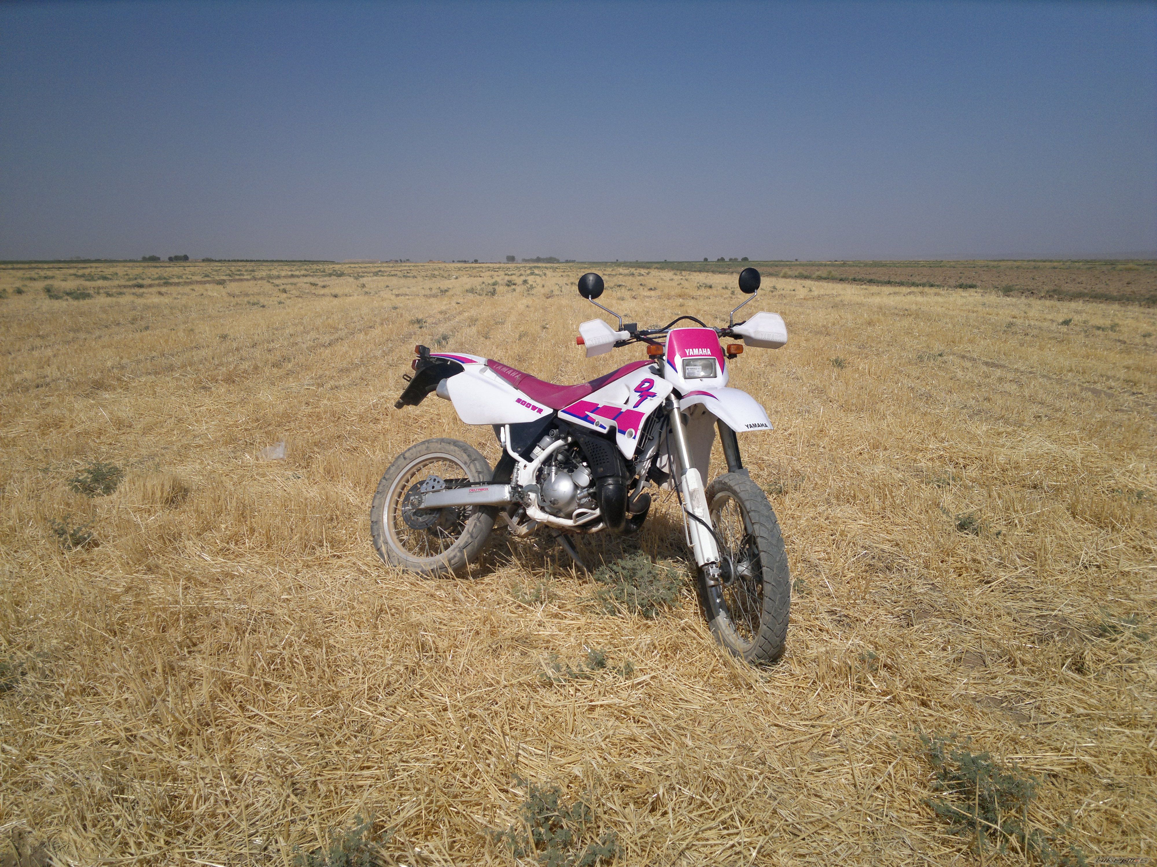 Photo 2596484