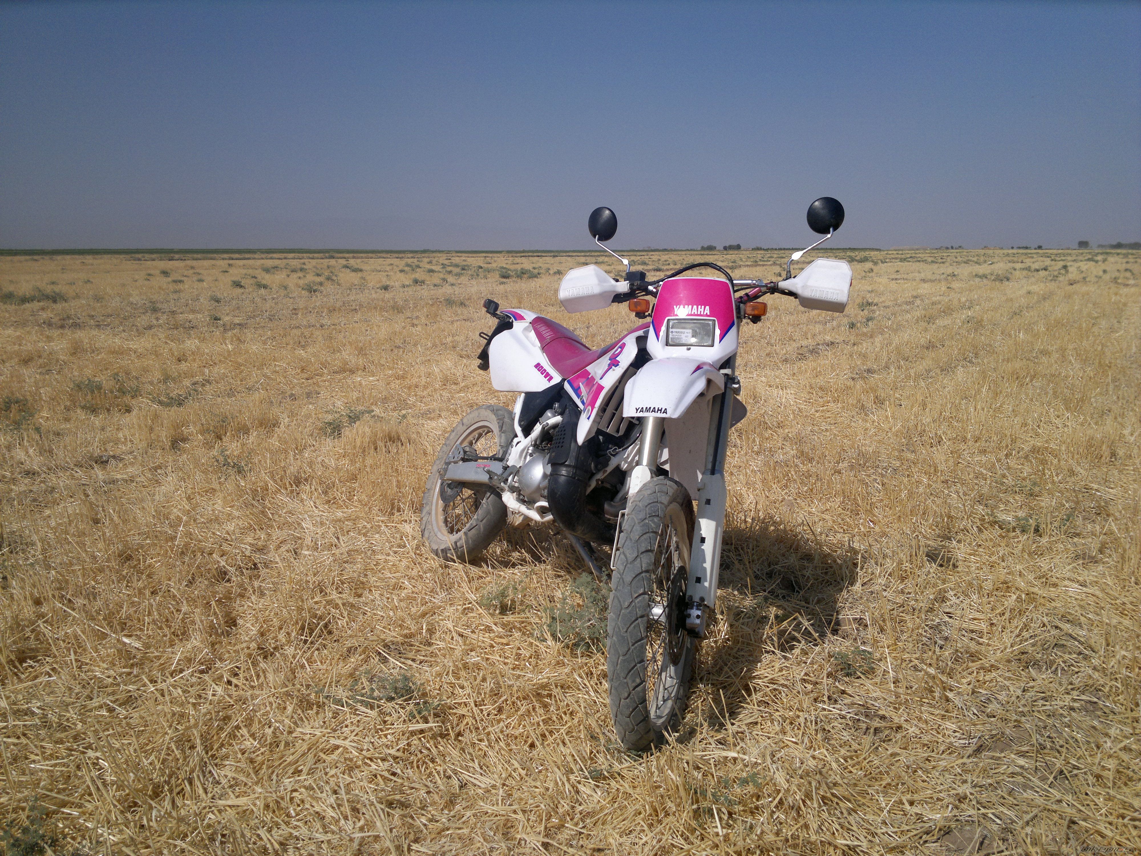 Photo 2596485