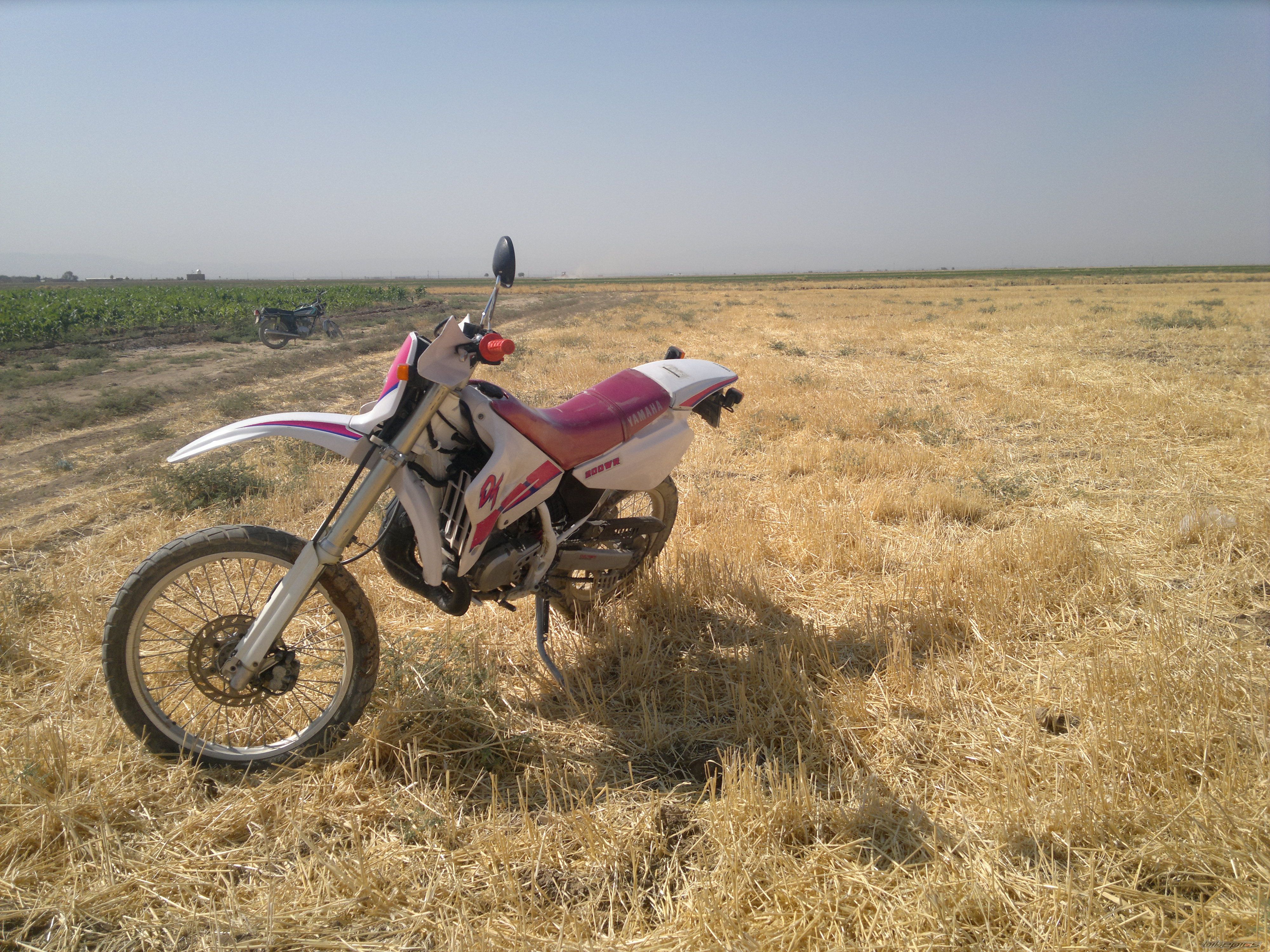 Photo 2596486