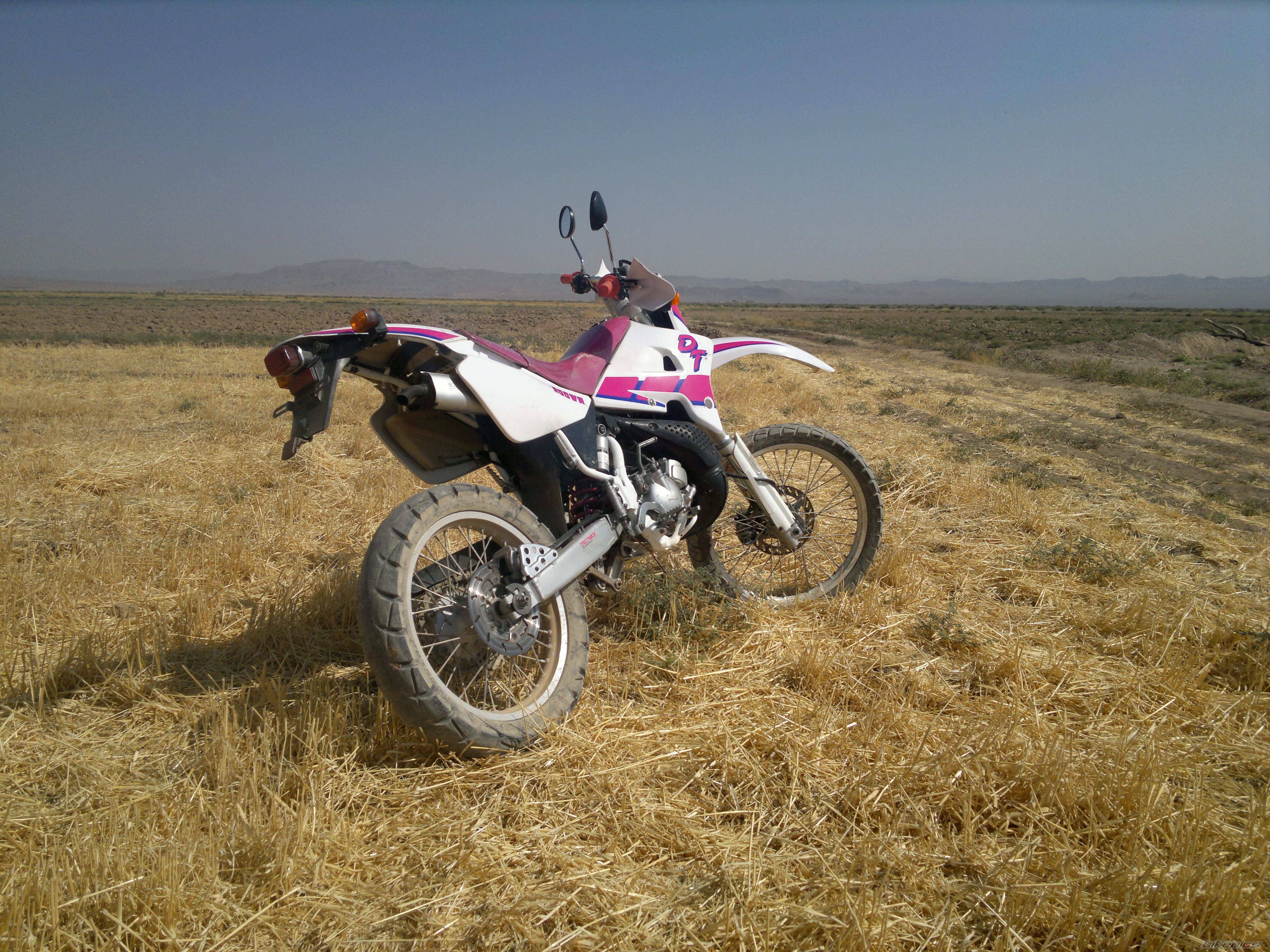 Photo 2596487