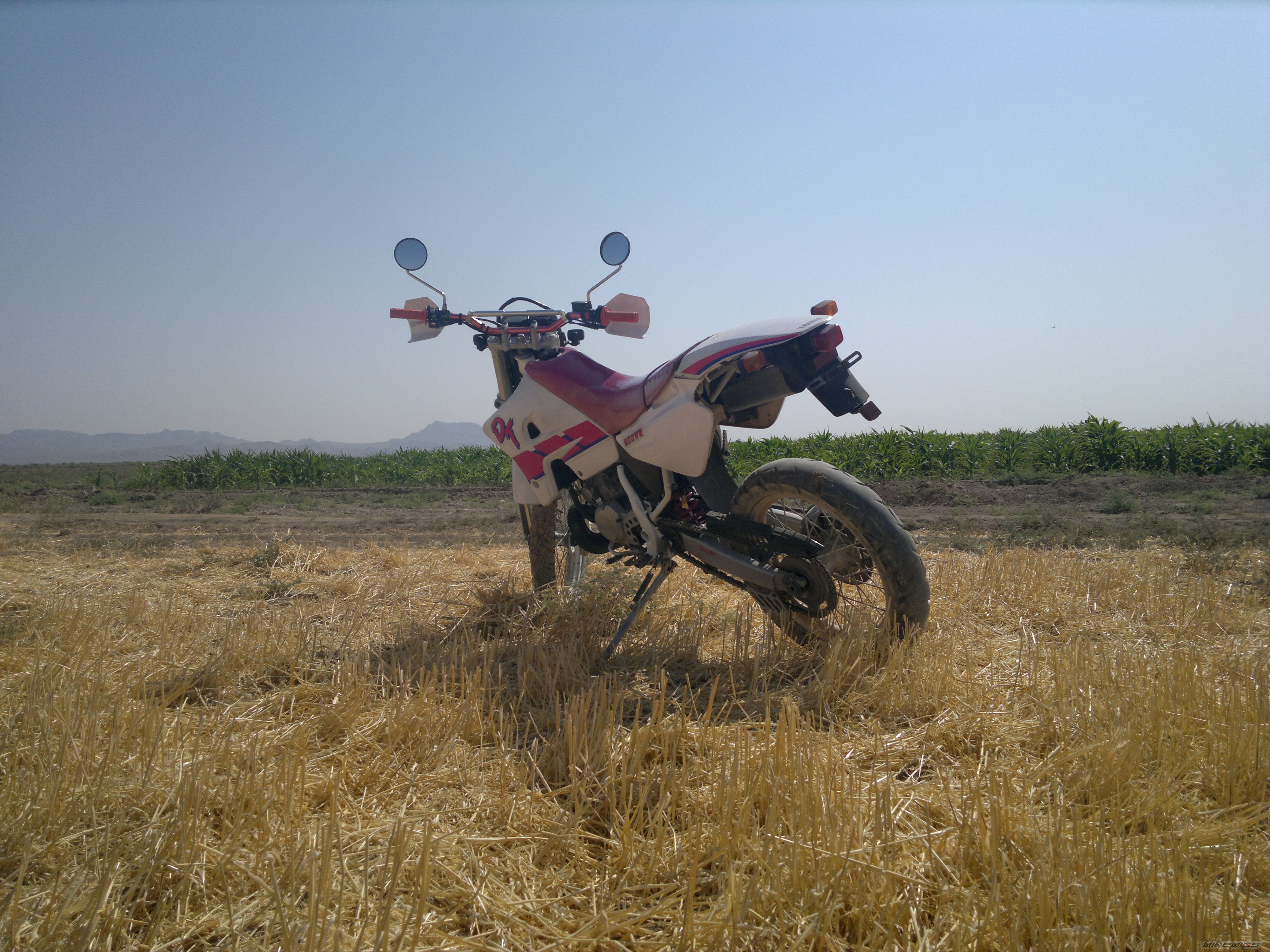 Photo 2596488