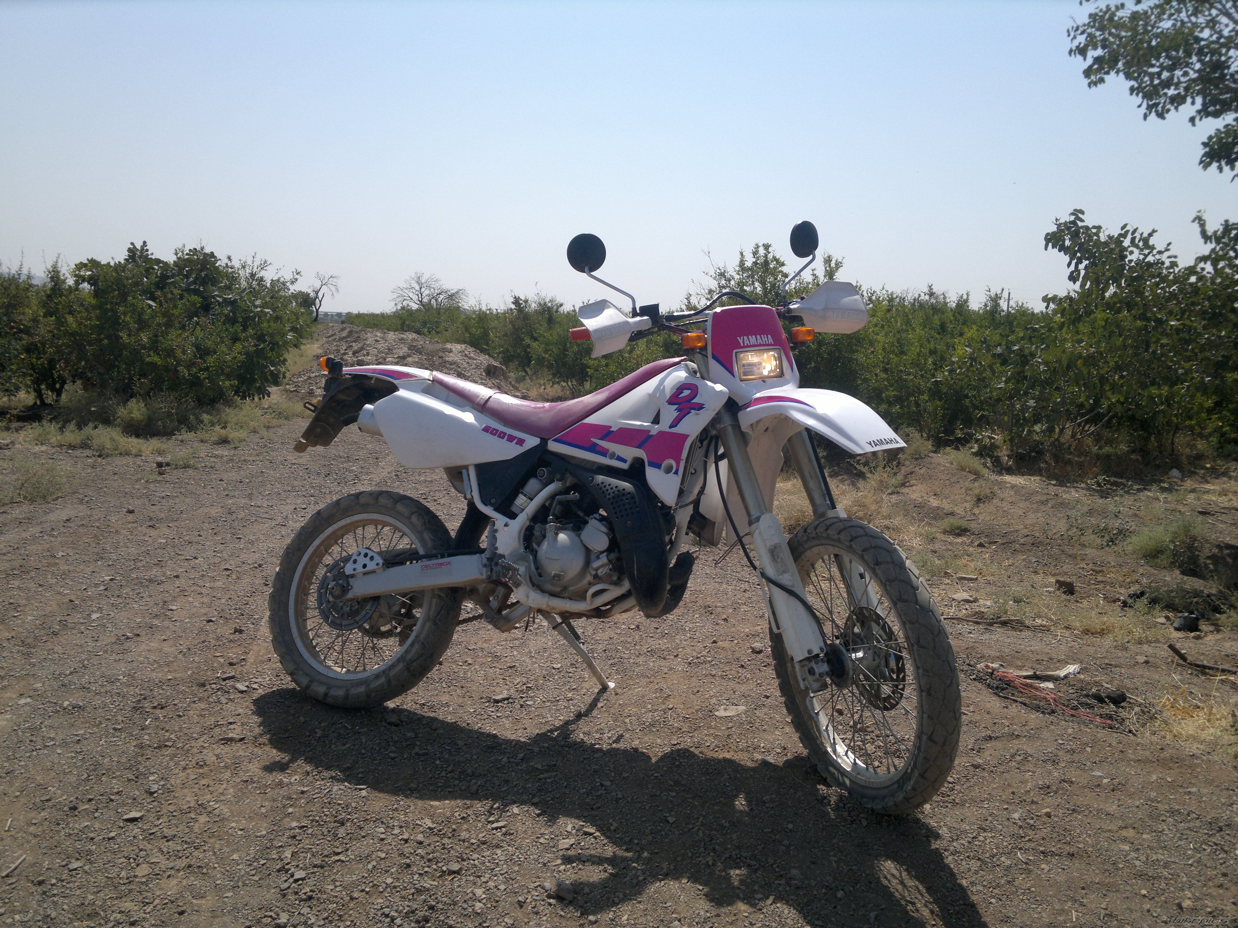 Photo 2596489
