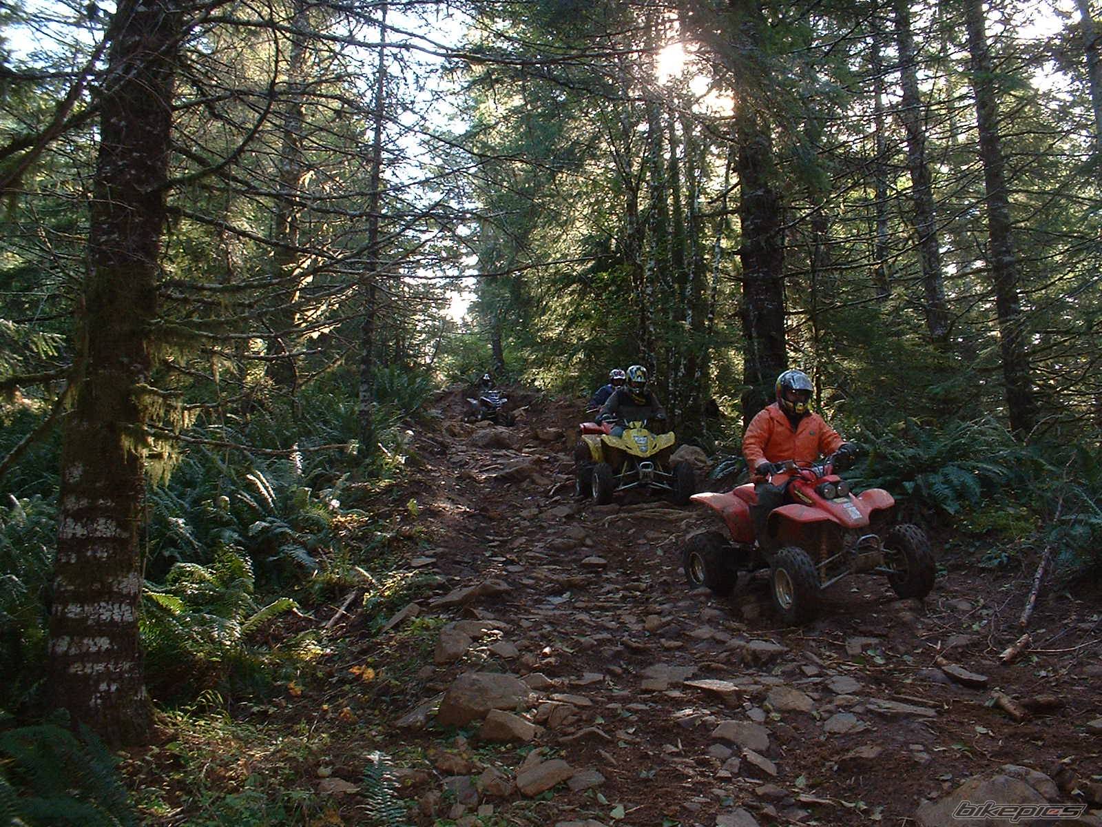 Bike Photo 259649